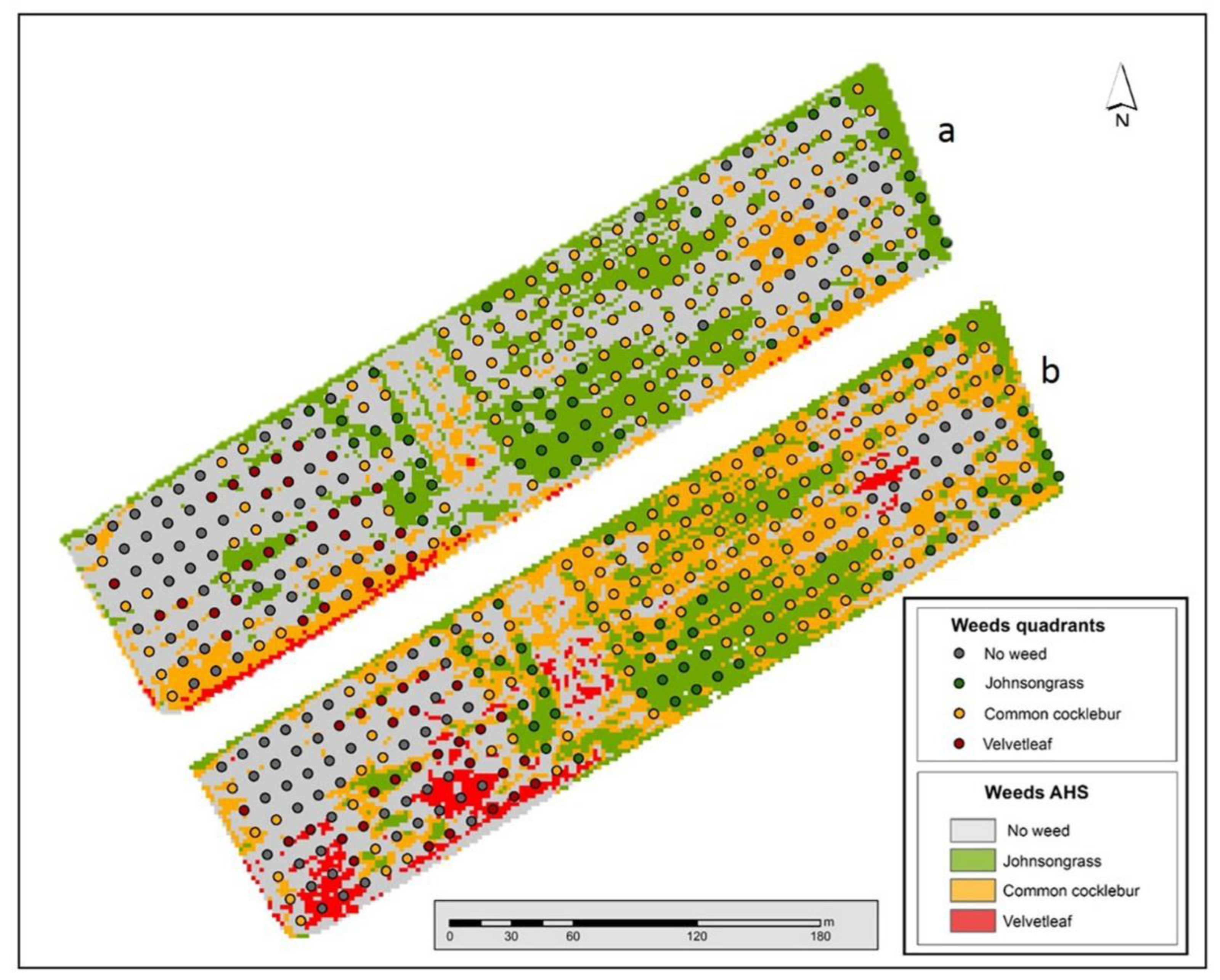 Agronomy 13 00528 g007