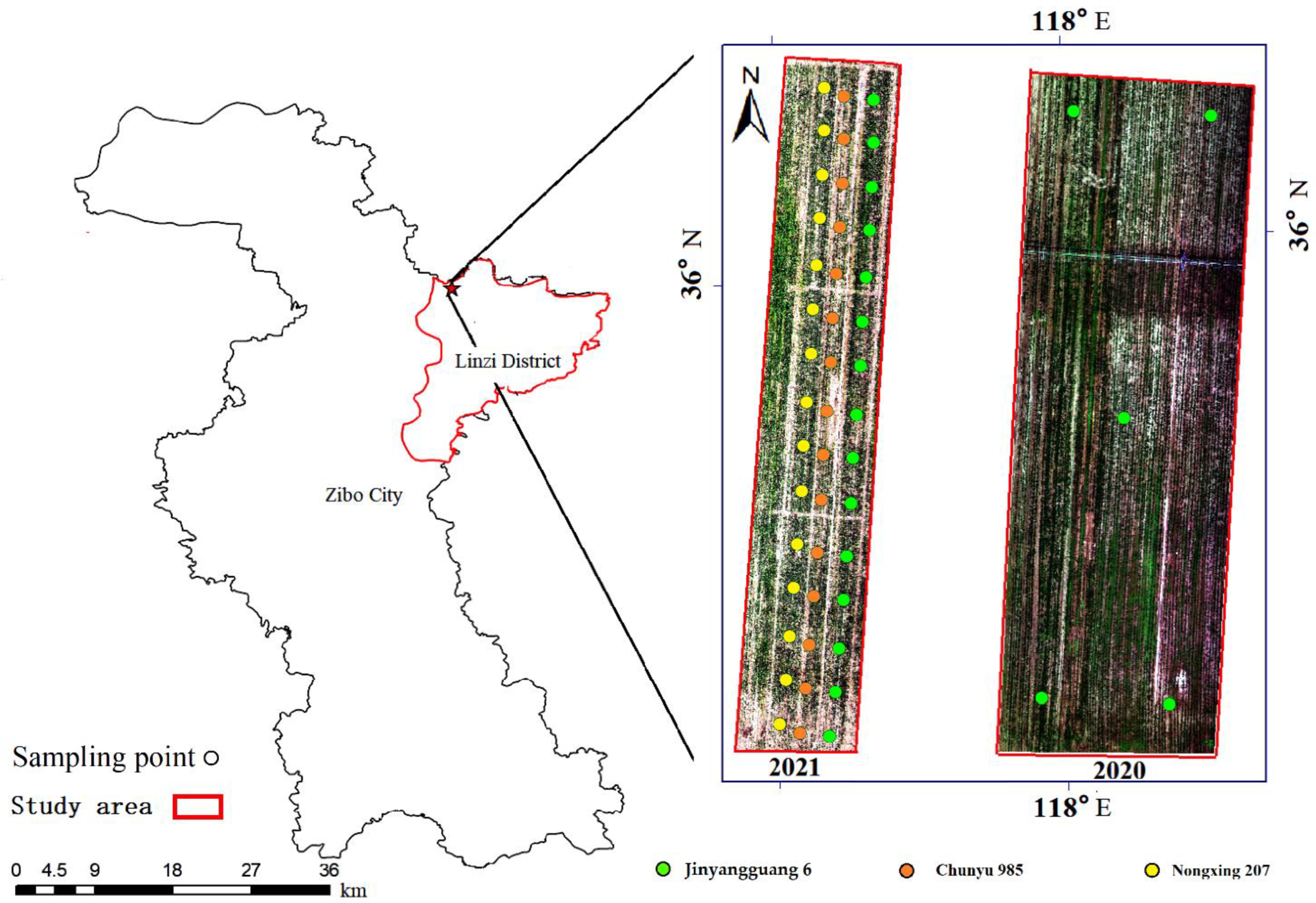 Agronomy 13 00532 g001 550