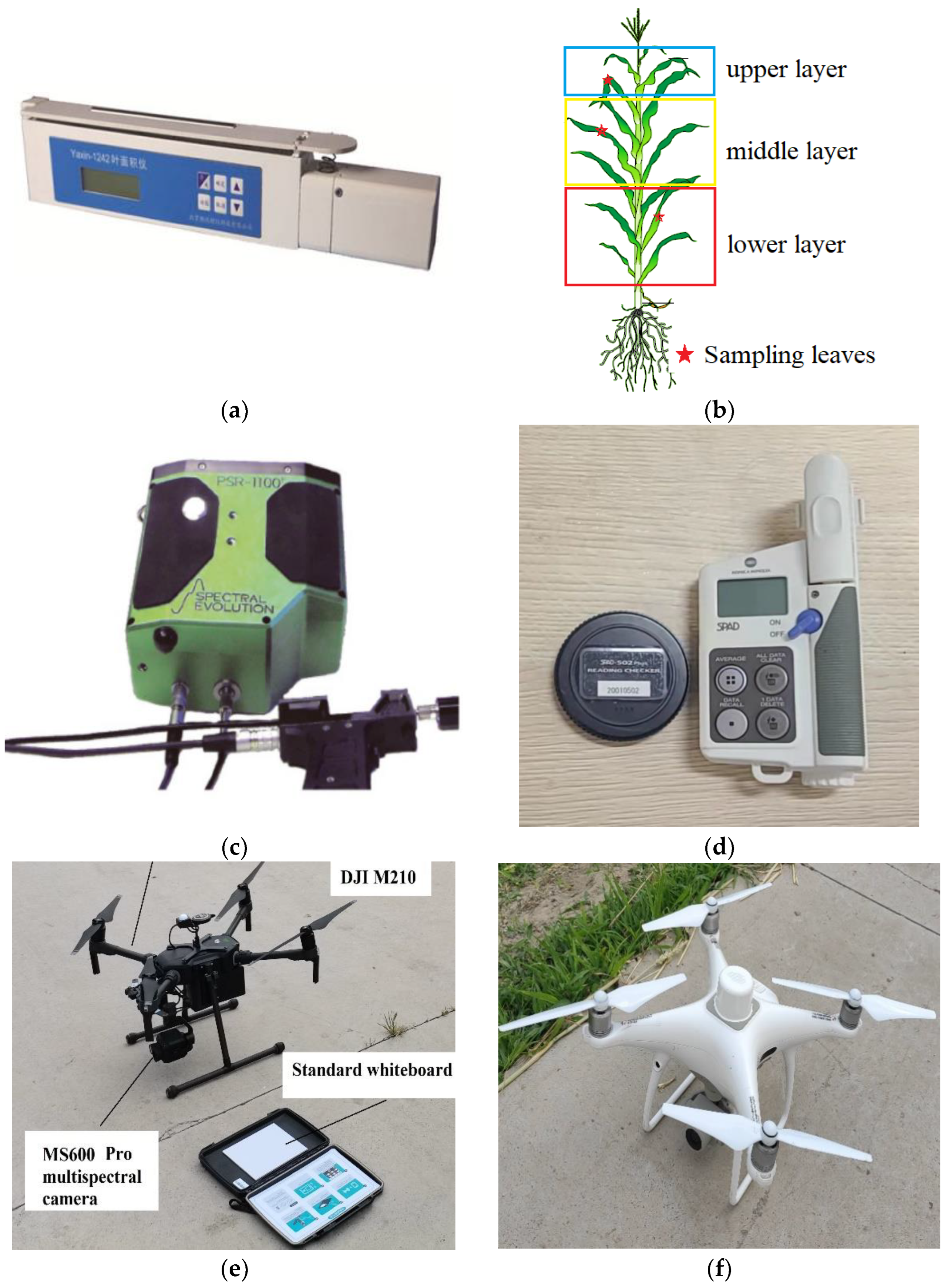 Agronomy 13 00532 g002a 550