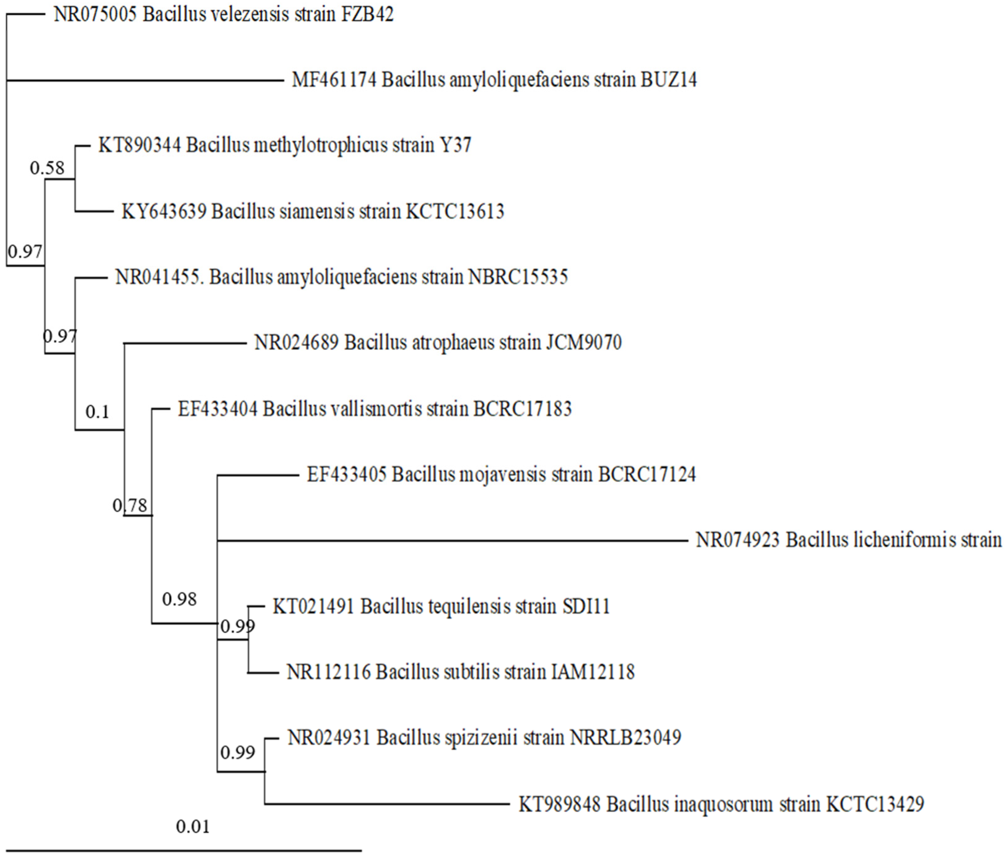 Agronomy 13 00533 g0a1 Agronomy 13 00533 g0a1