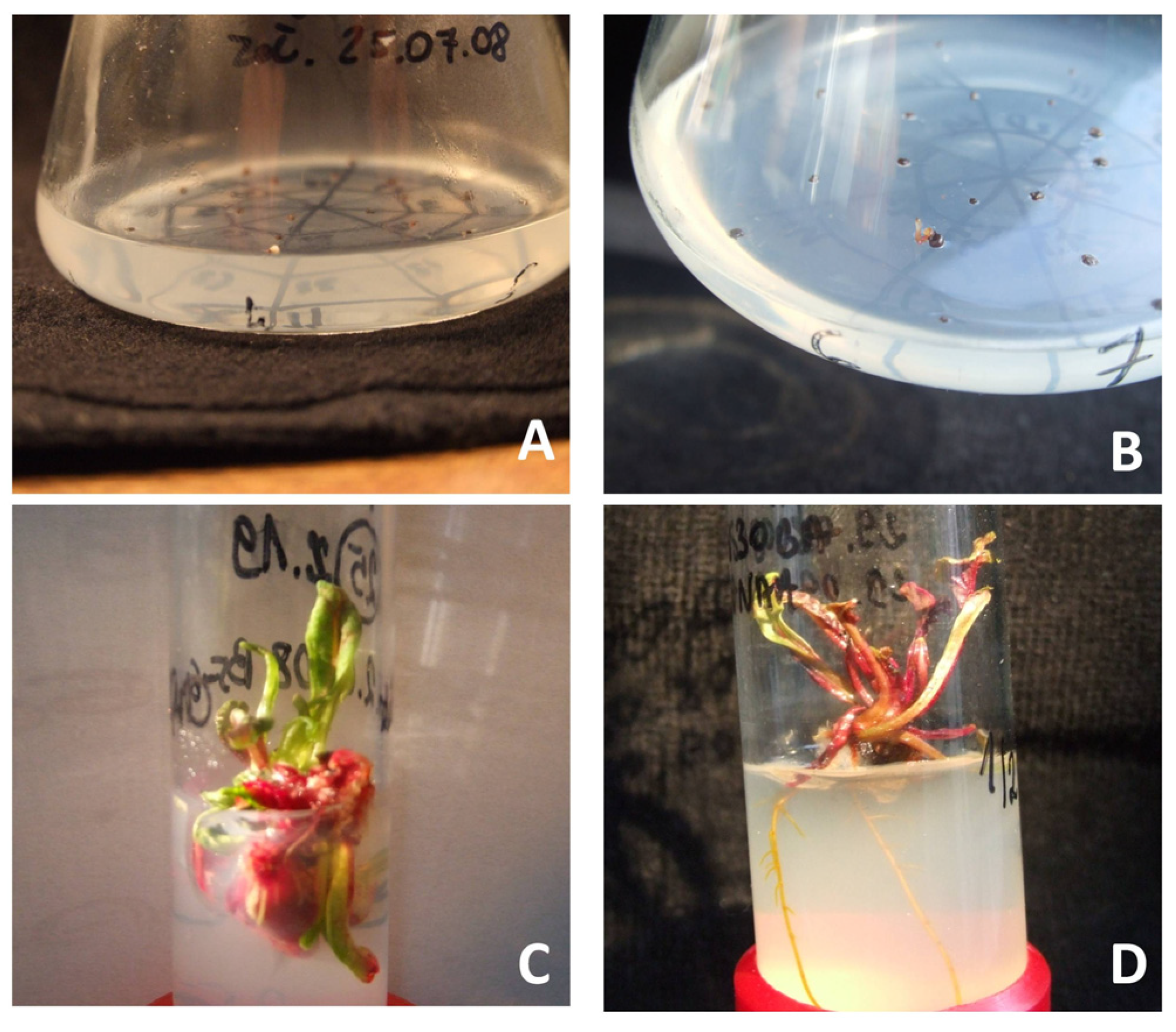 Agronomy 13 00537 g001 550