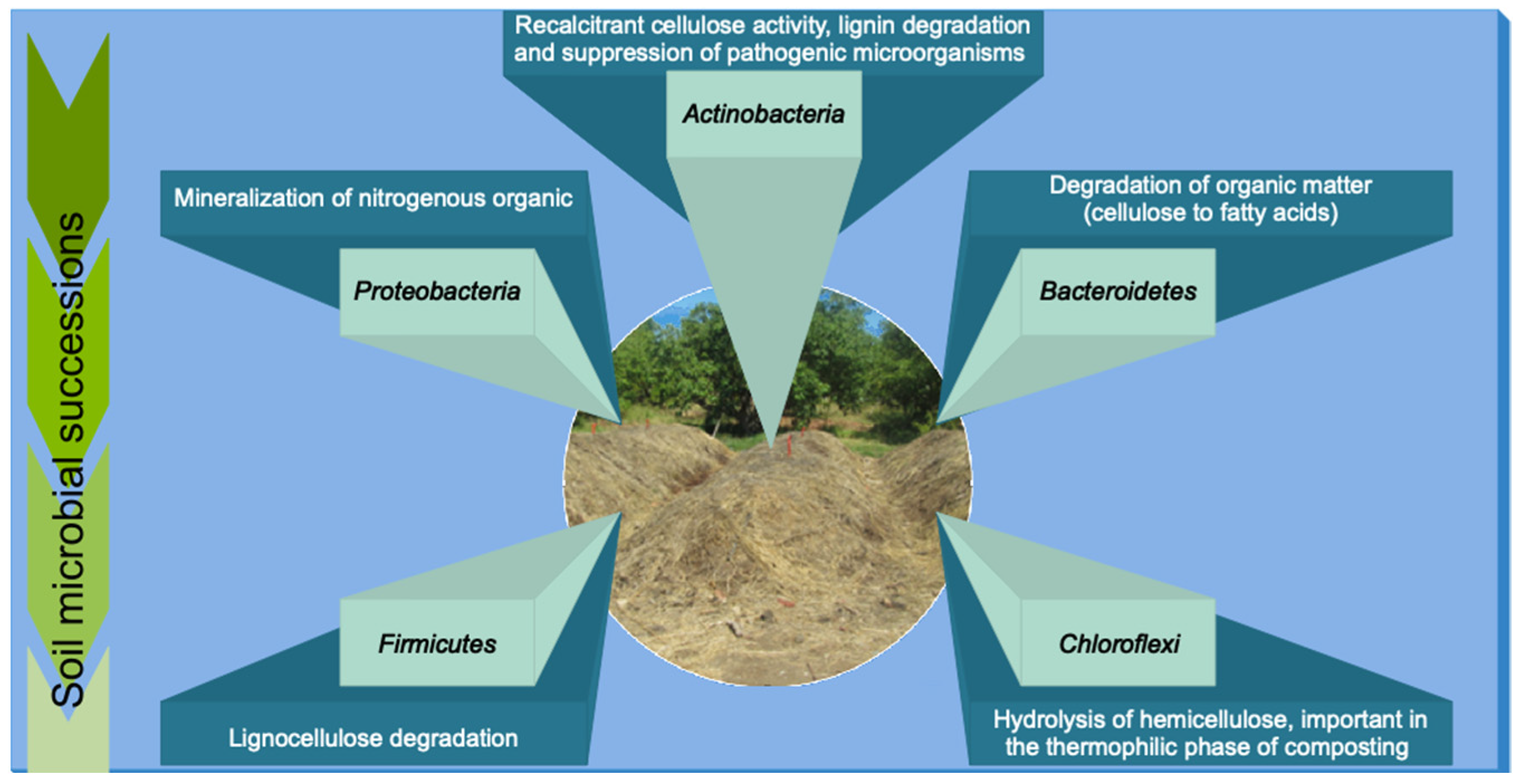 Agronomy Free FullText Microbial Community in the Composting