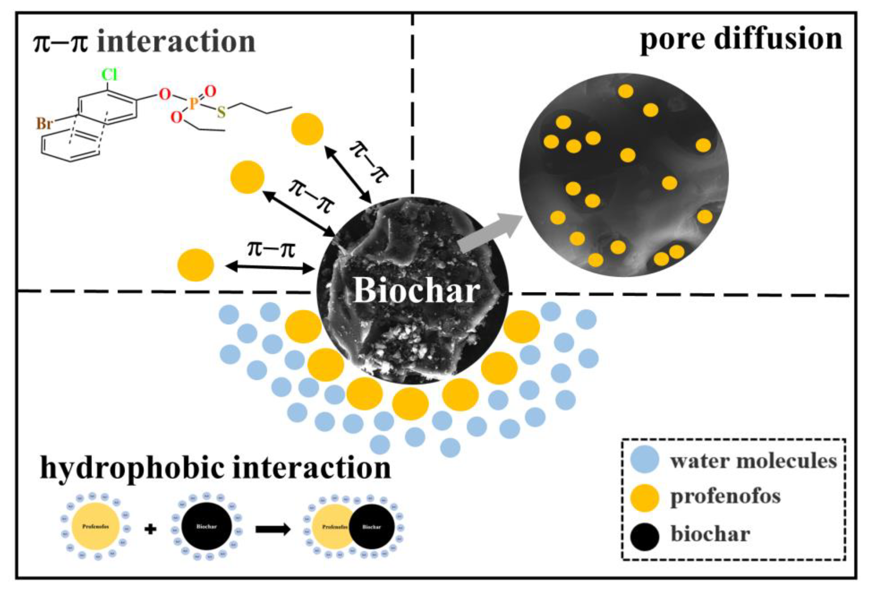 Agronomy 13 00543 g005