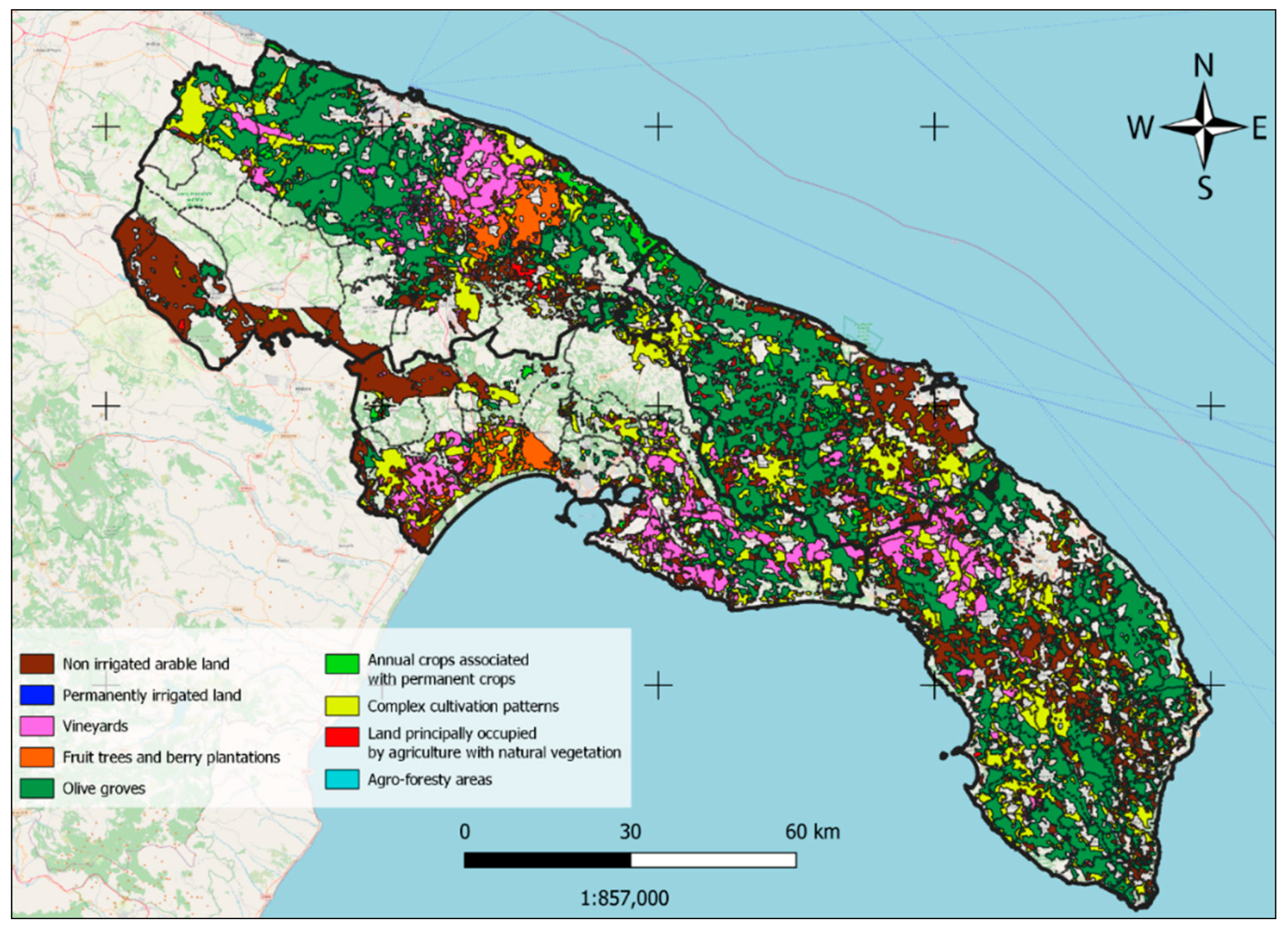 Agronomy 13 00547 g003
