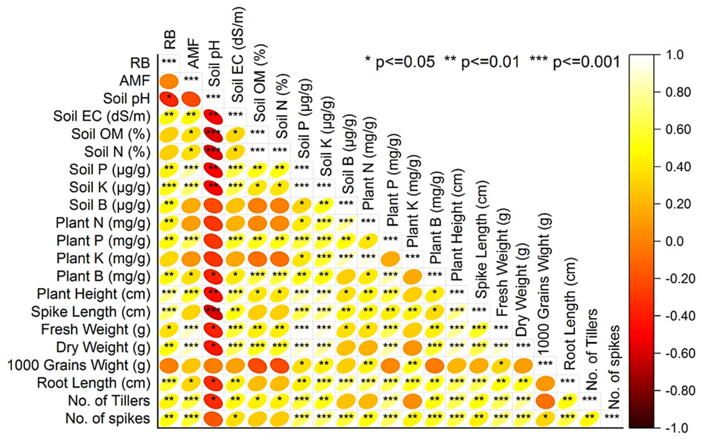 Agronomy 13 00550 g006