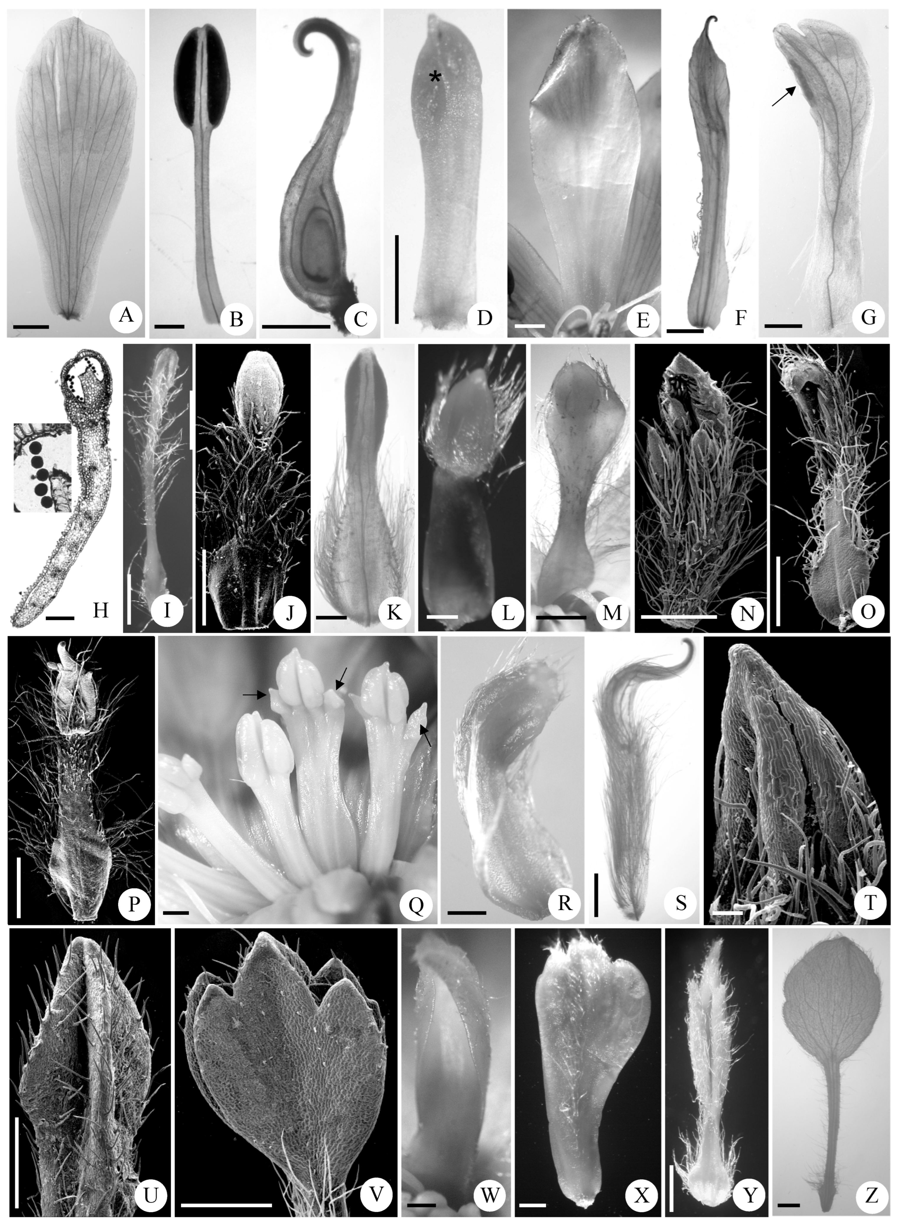Agronomy 13 00554 g003