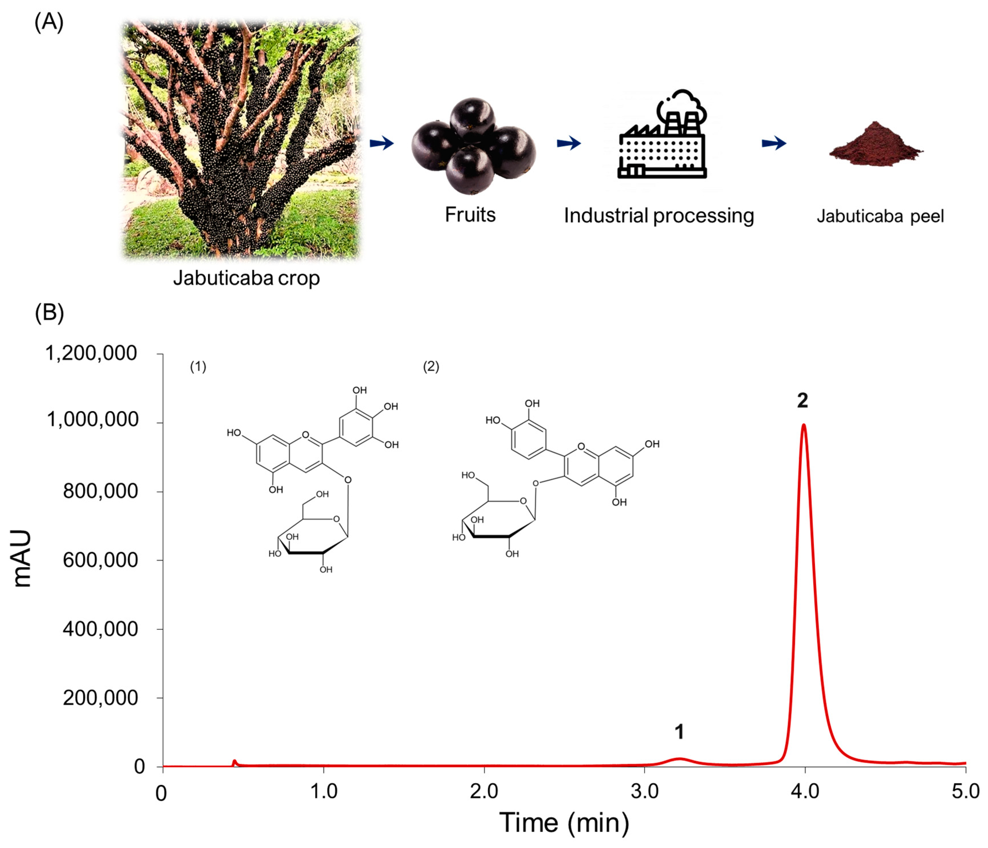 Agronomy 13 00556 g001 Agronomy 13 00556 g001
