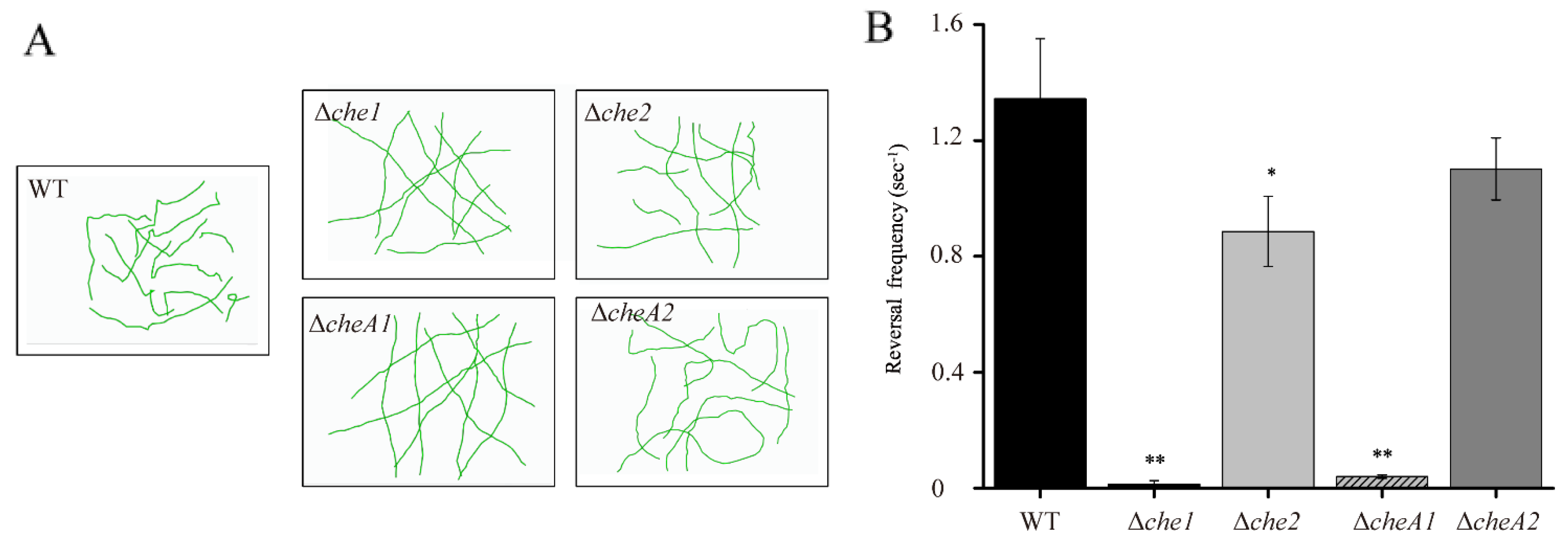Agronomy 13 00570 g003