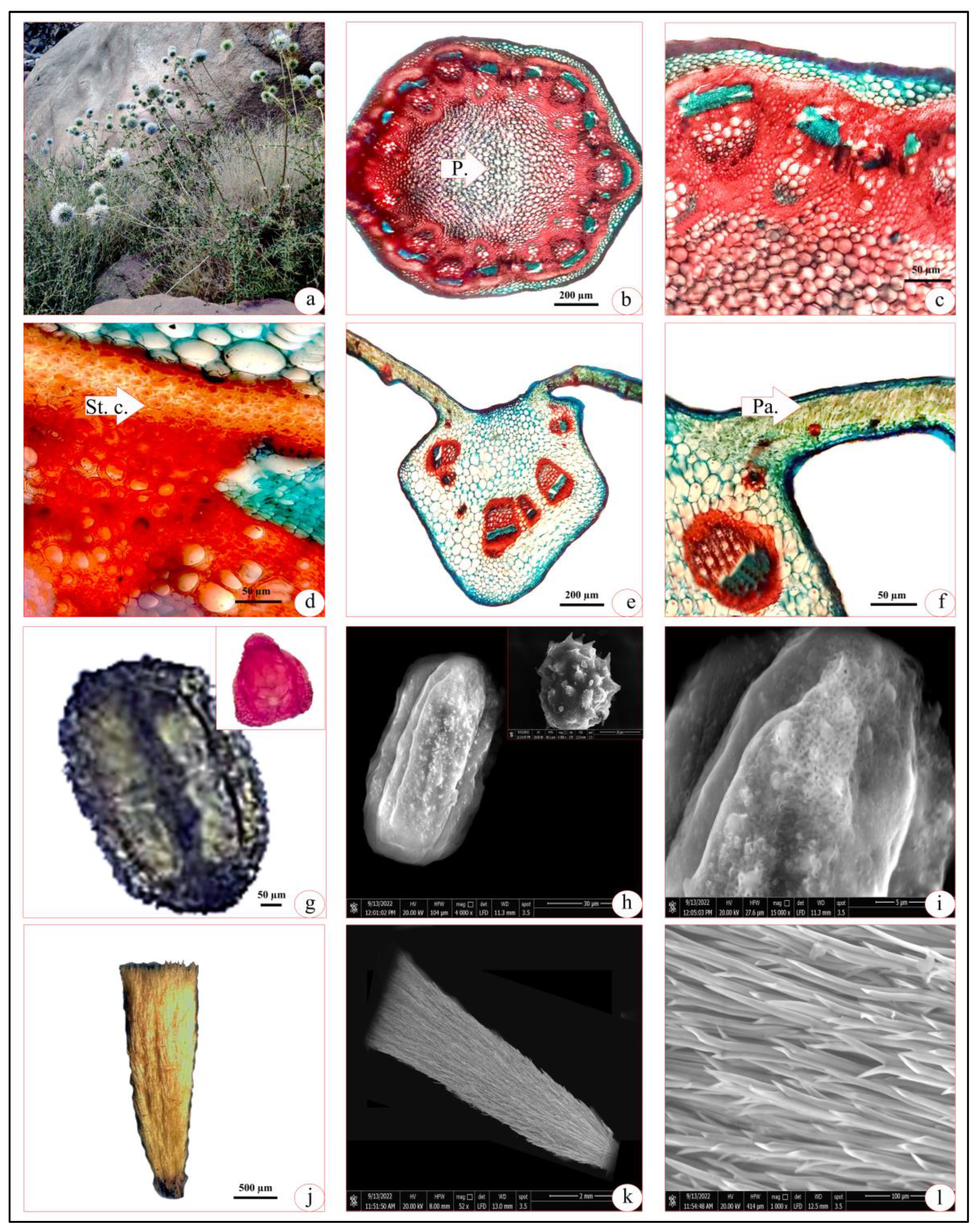 Agronomy 13 00573 g002 Agronomy 13 00573 g002
