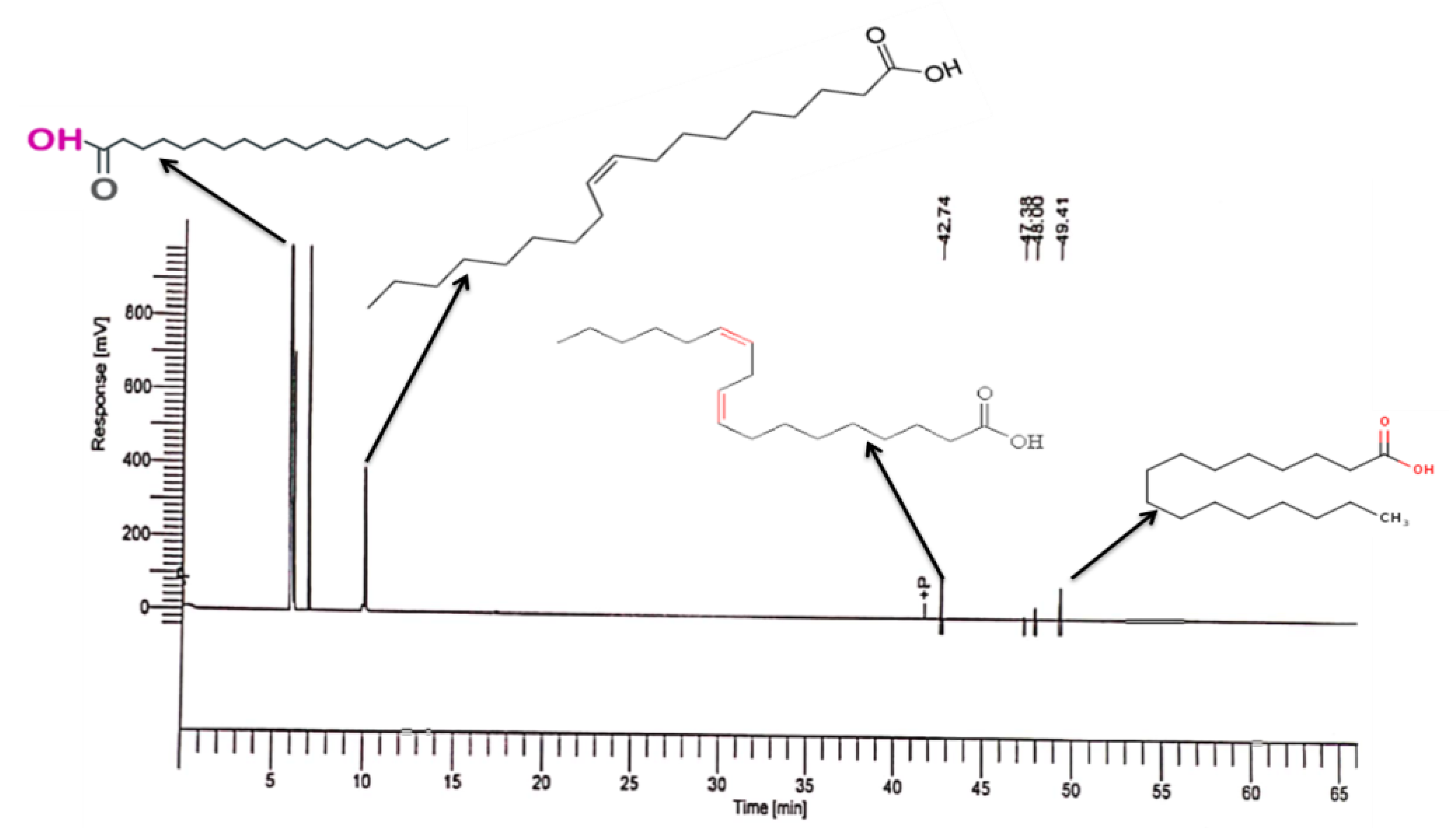 Agronomy 13 00573 g006 Agronomy 13 00573 g006