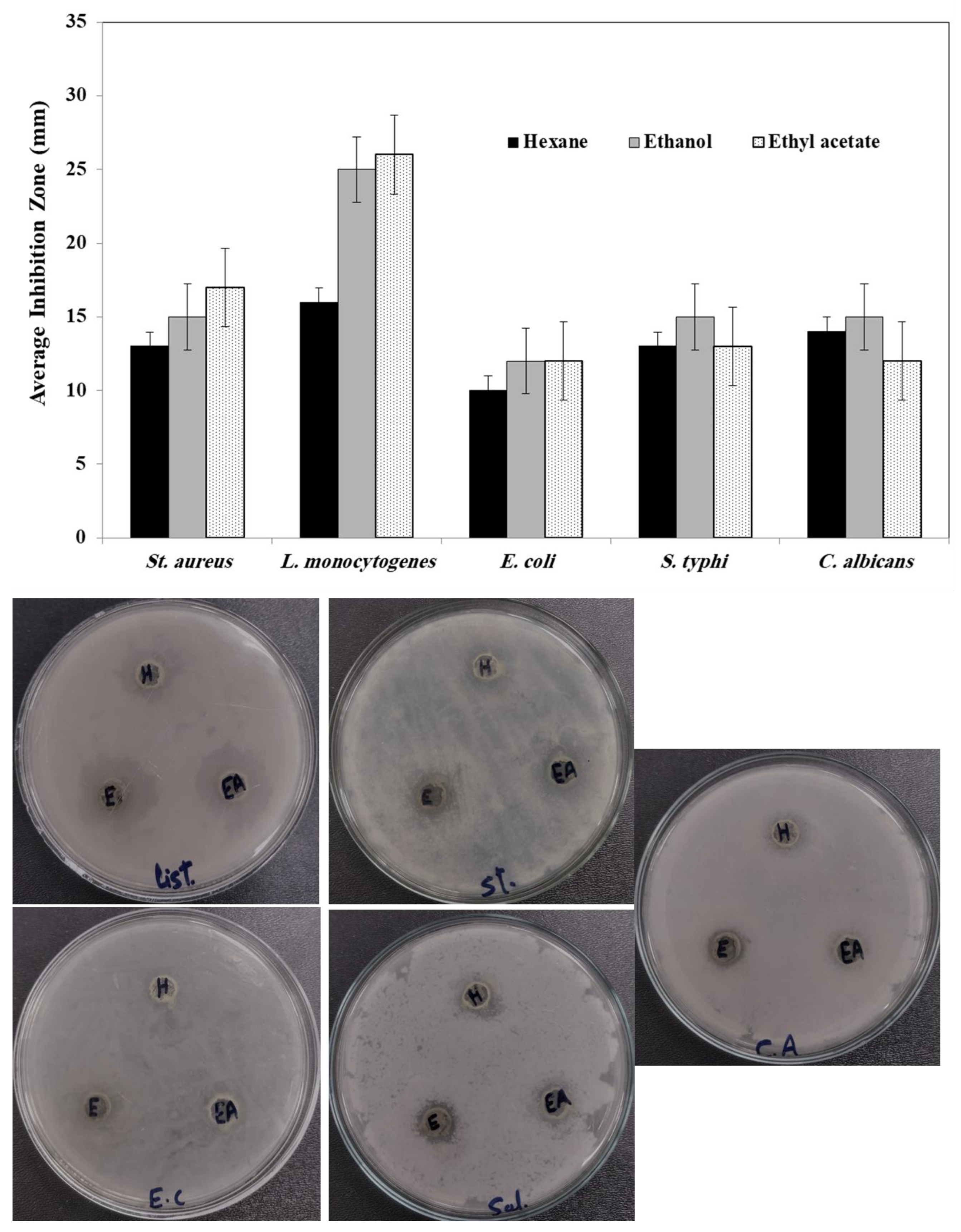 Agronomy 13 00573 g007 Agronomy 13 00573 g007