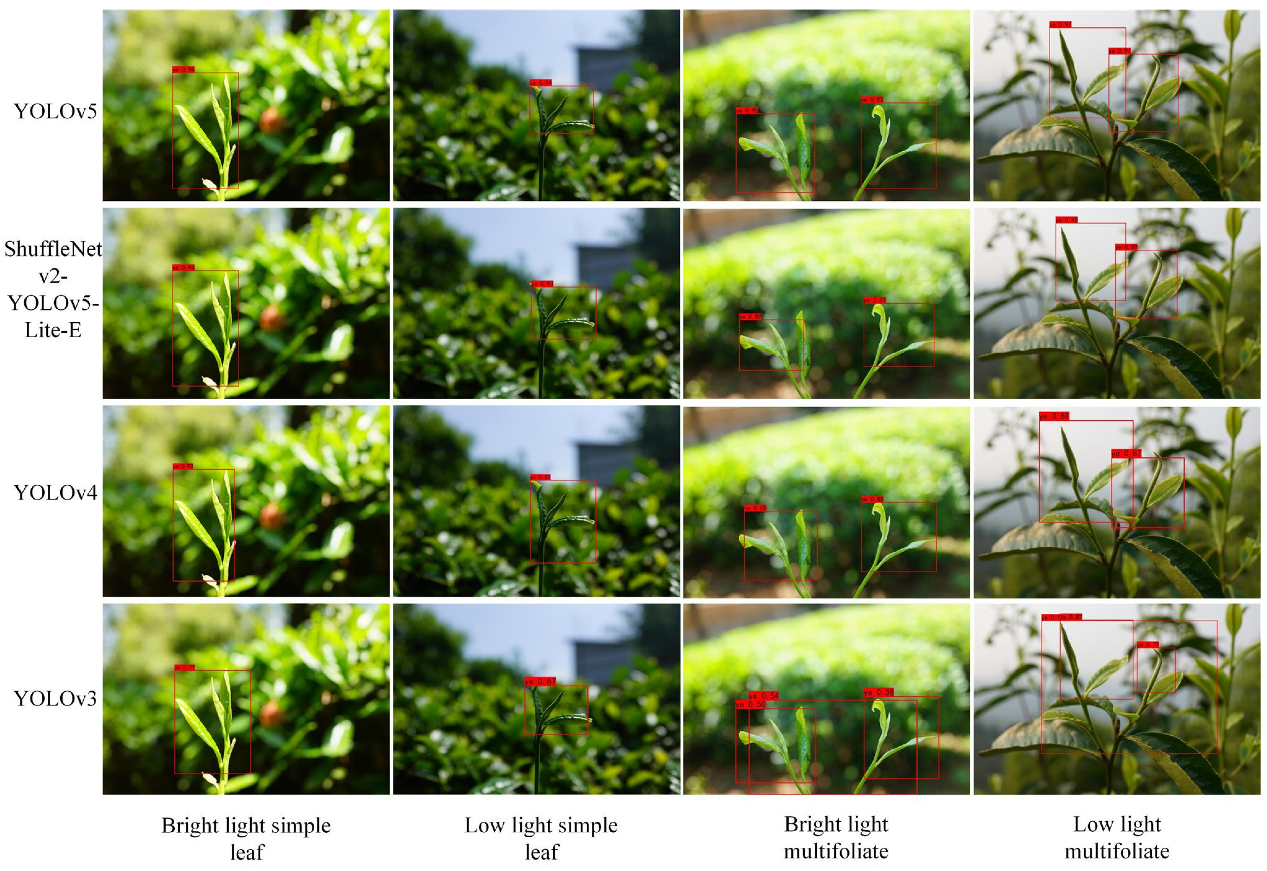 Agronomy 13 00577 g007 Agronomy 13 00577 g007