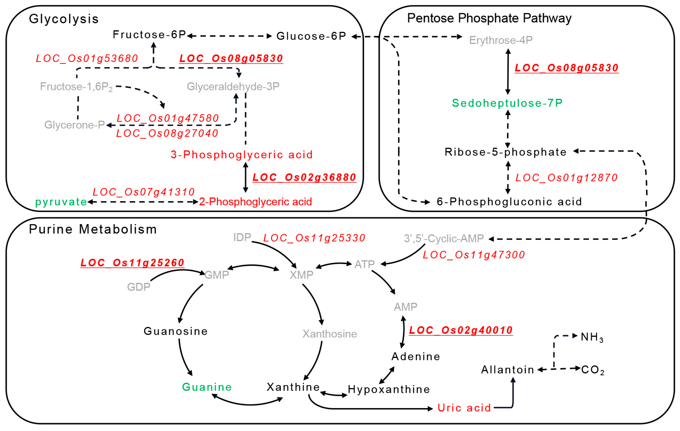 Agronomy 13 00578 g006