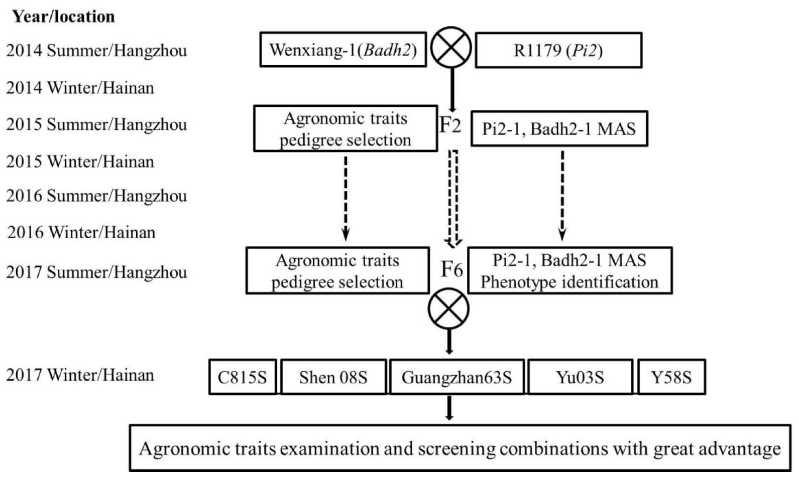 Agronomy 13 00589 g003 Agronomy 13 00589 g003