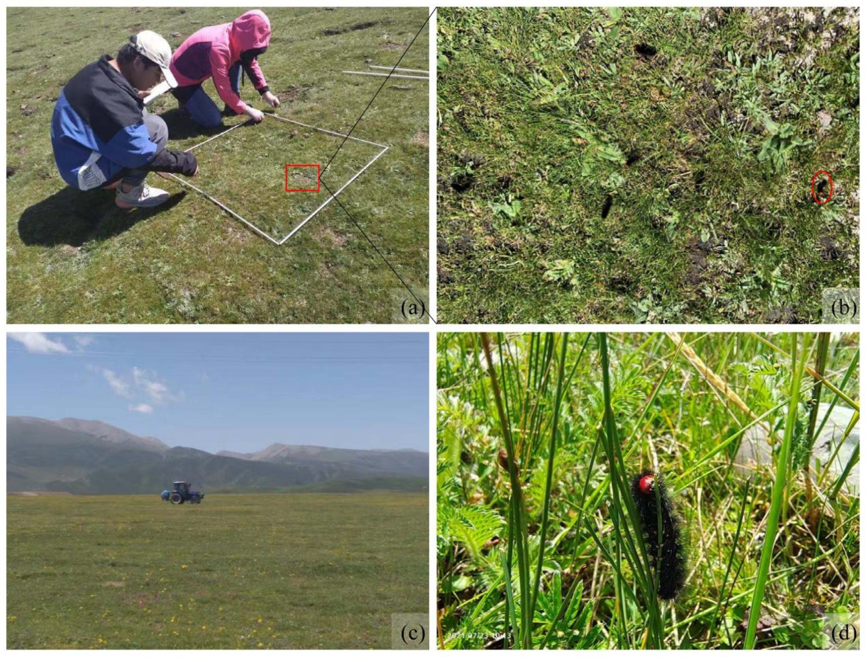 Agronomy 13 00594 g002 Agronomy 13 00594 g002