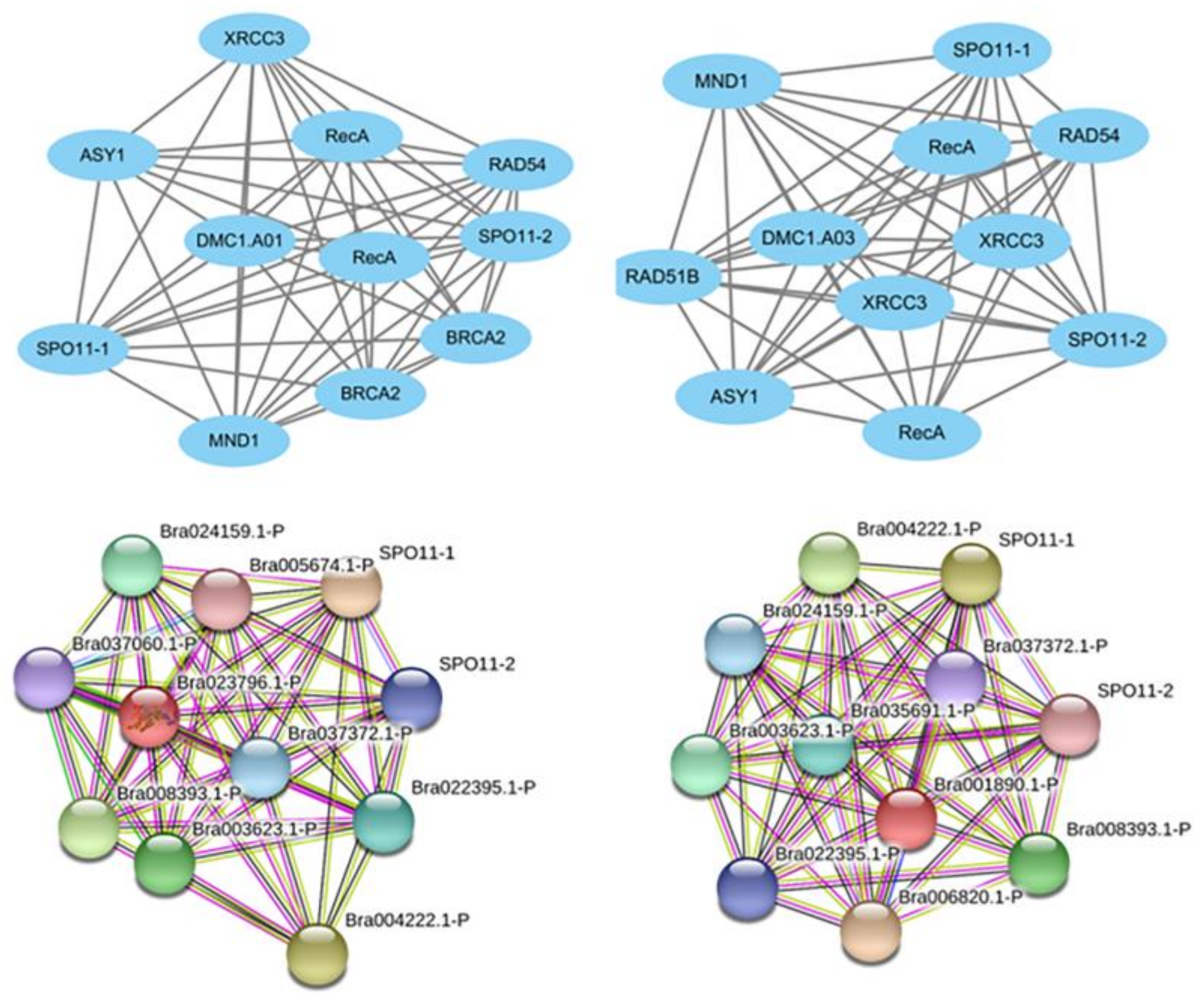 Agronomy 13 00595 g002 Agronomy 13 00595 g002