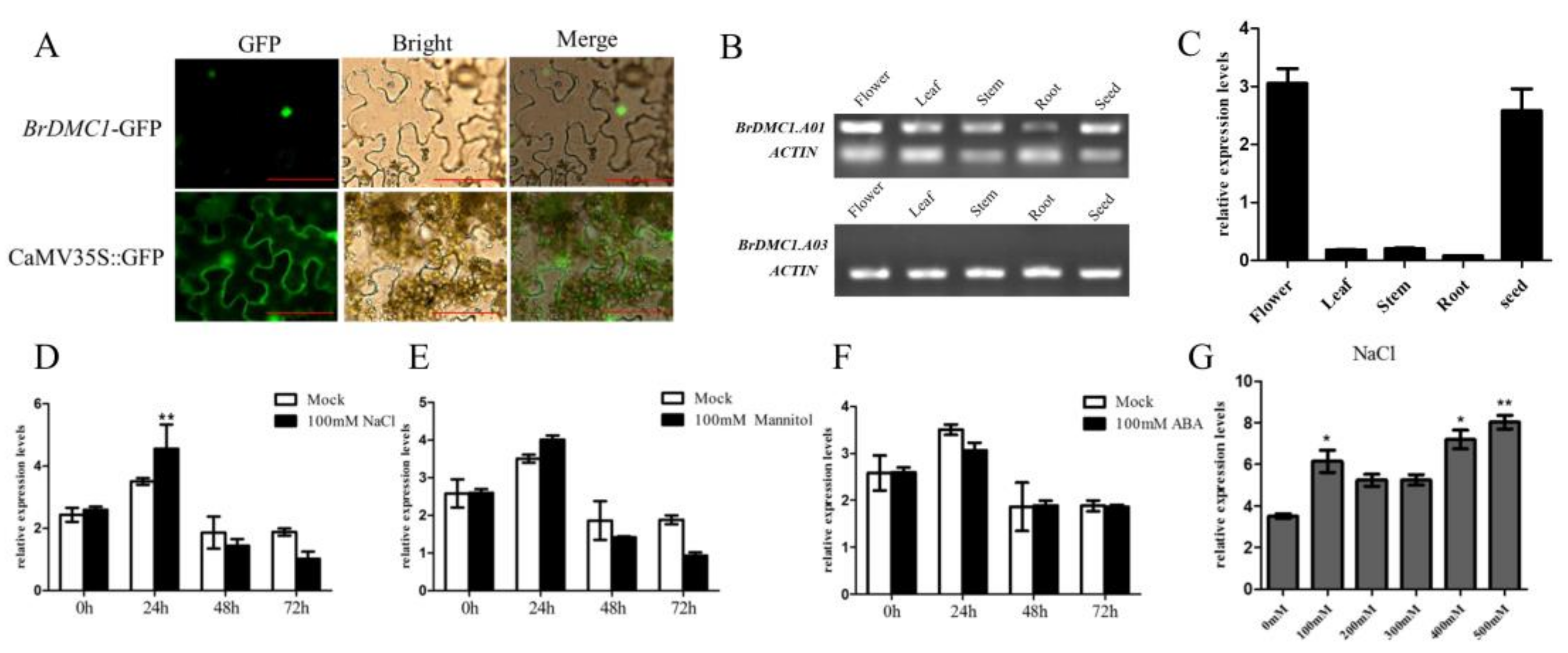 Agronomy 13 00595 g004 Agronomy 13 00595 g004