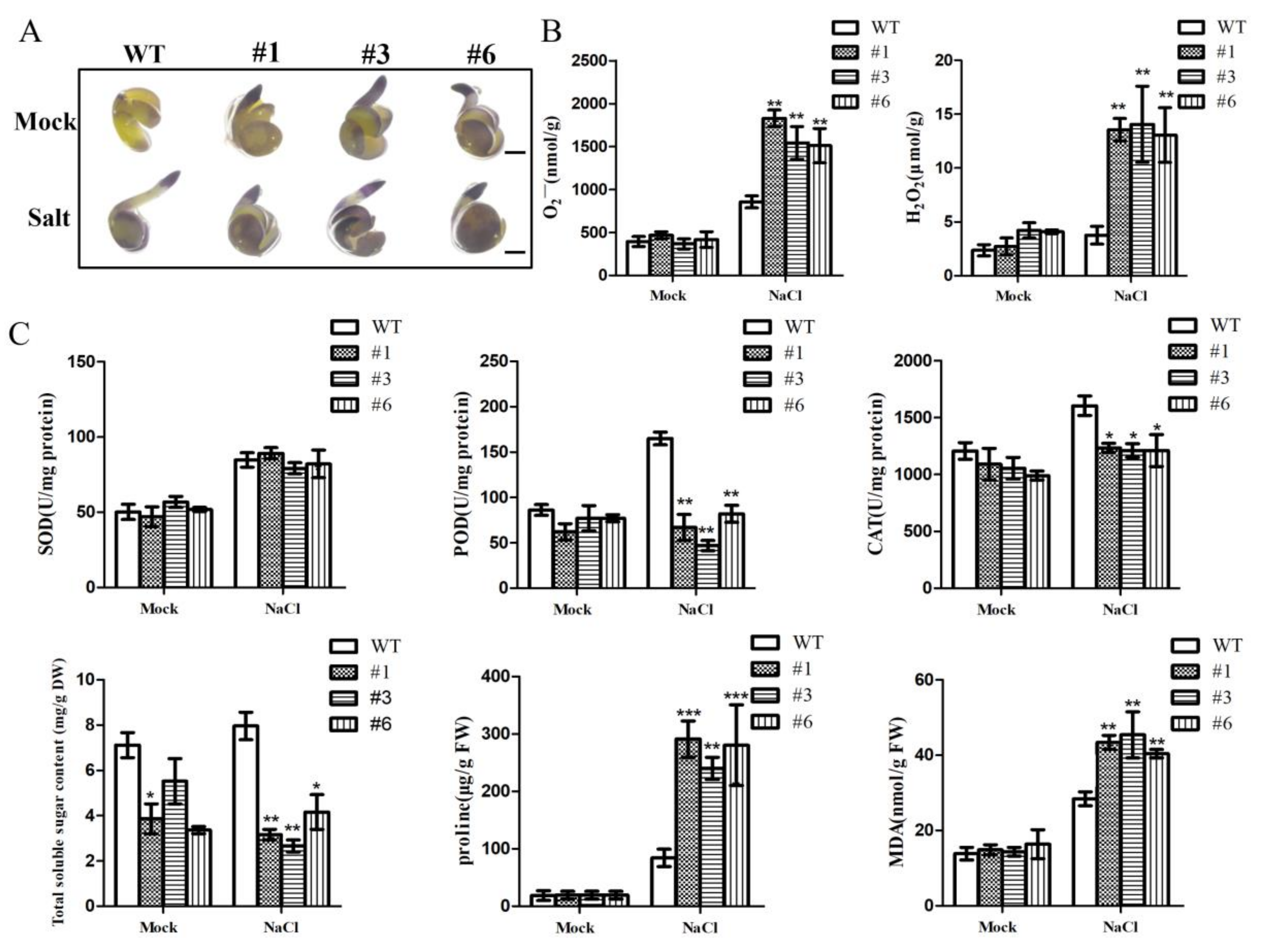 Agronomy 13 00595 g006 Agronomy 13 00595 g006