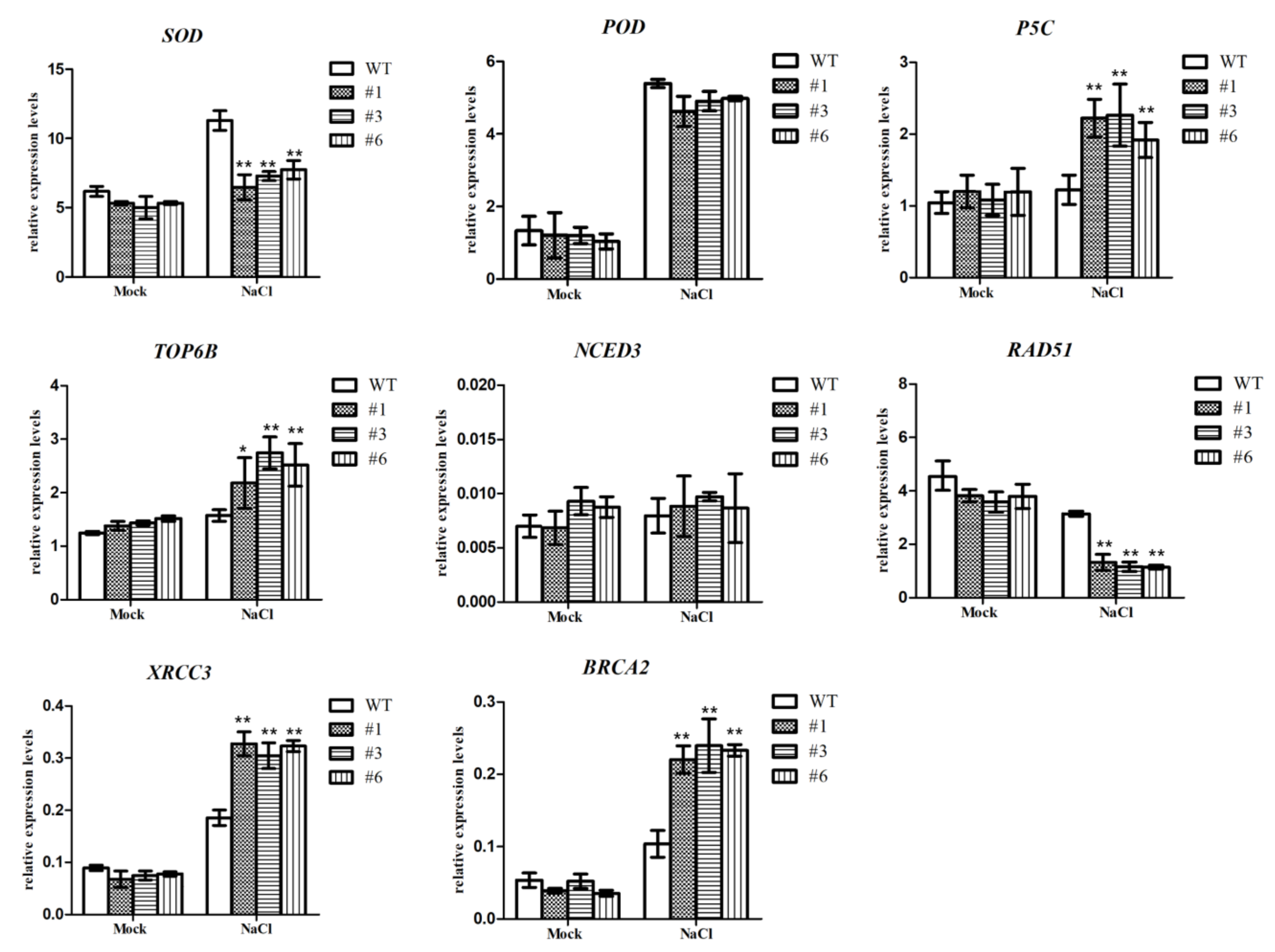 Agronomy 13 00595 g007 Agronomy 13 00595 g007