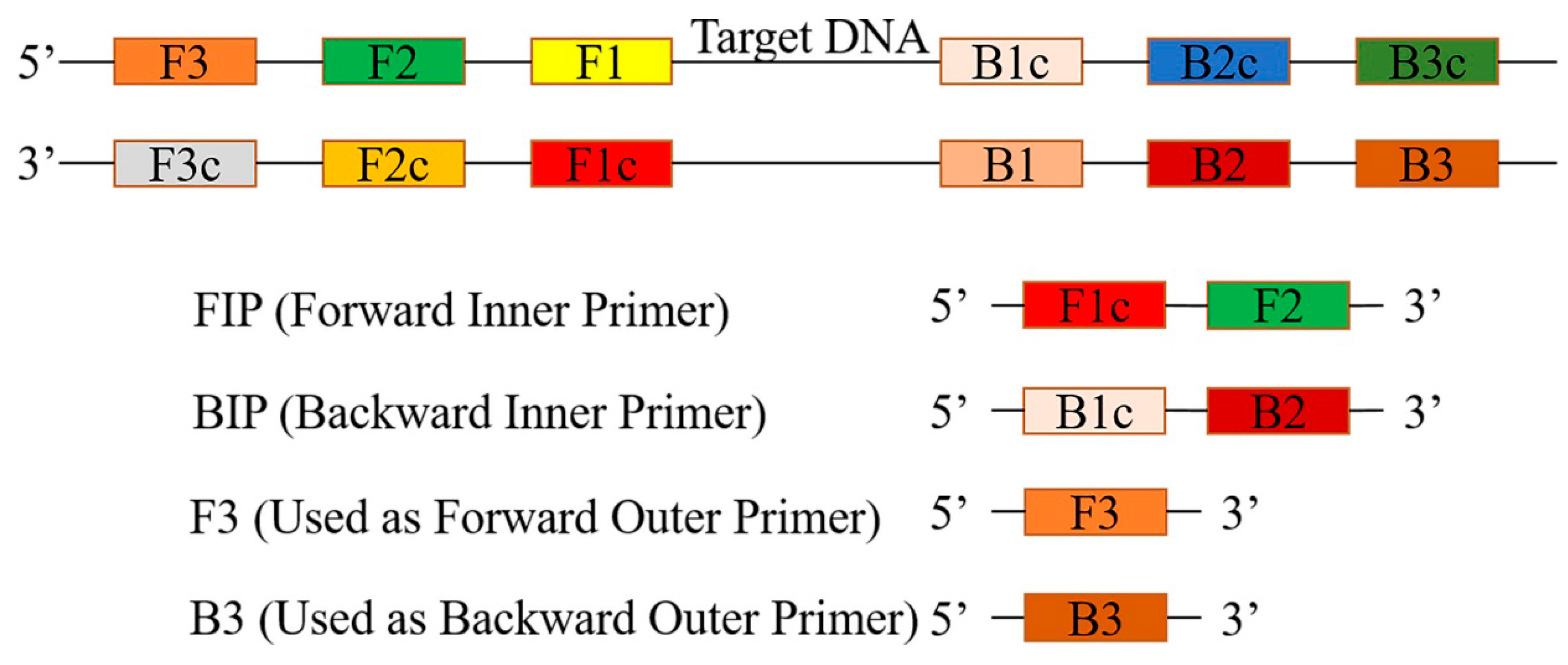 Agronomy 13 00601 g001