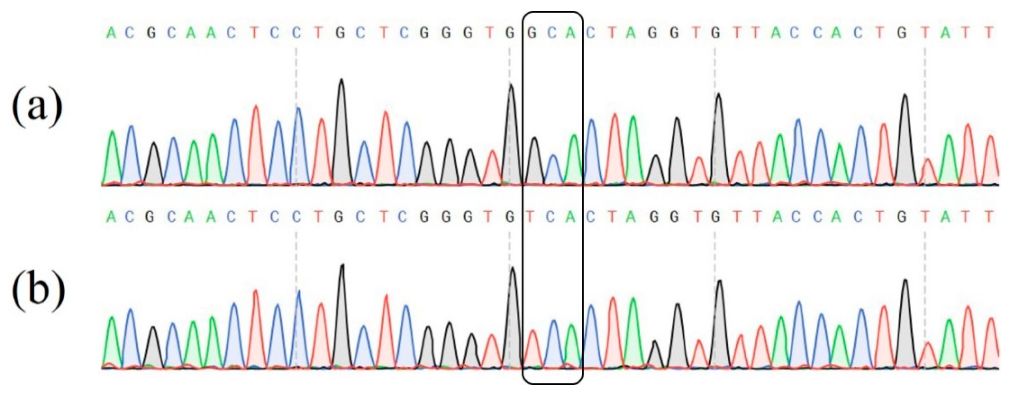 Agronomy 13 00601 g002