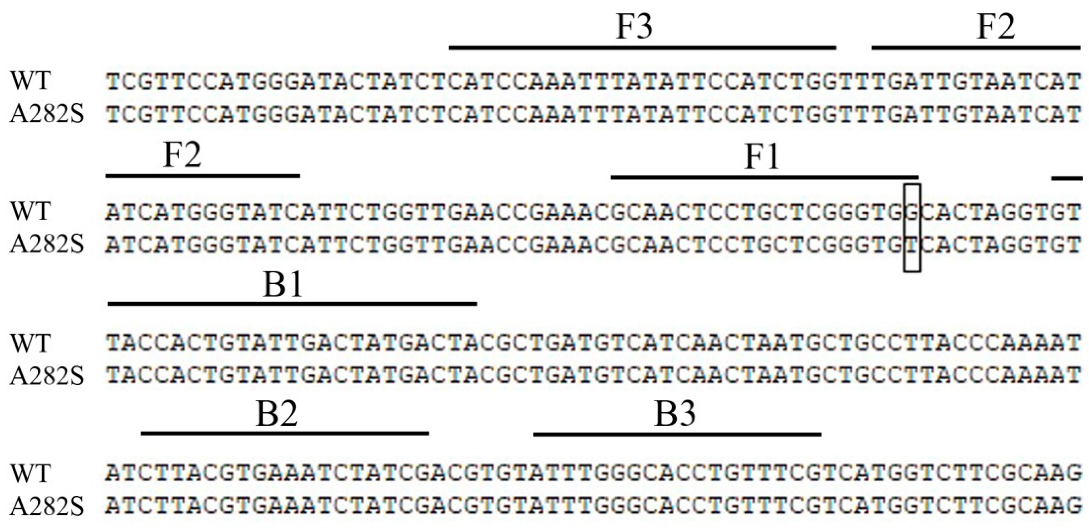 Agronomy 13 00601 g003