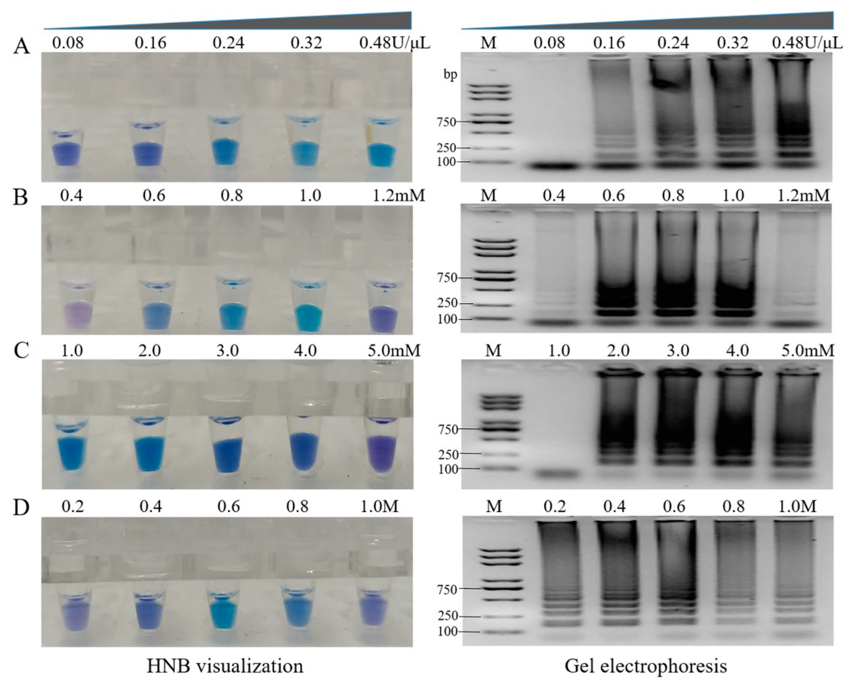 Agronomy 13 00601 g005