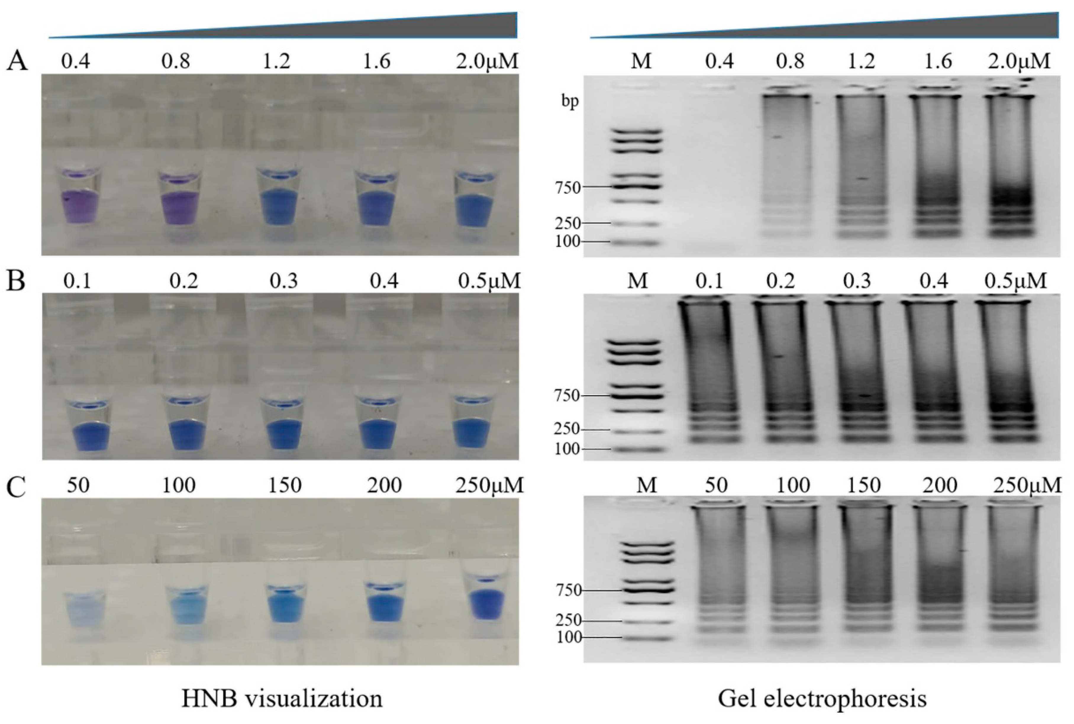 Agronomy 13 00601 g006