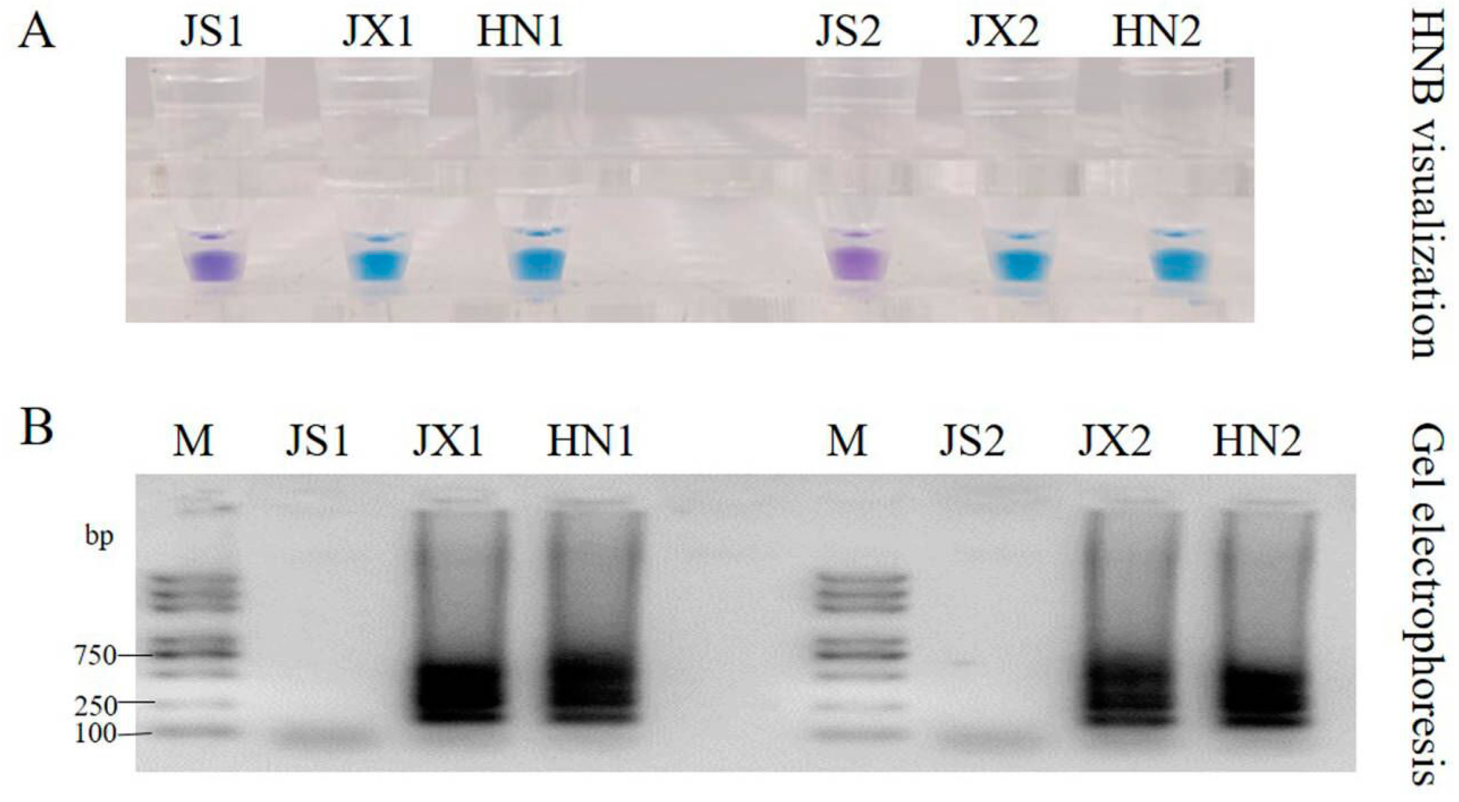 Agronomy 13 00601 g008