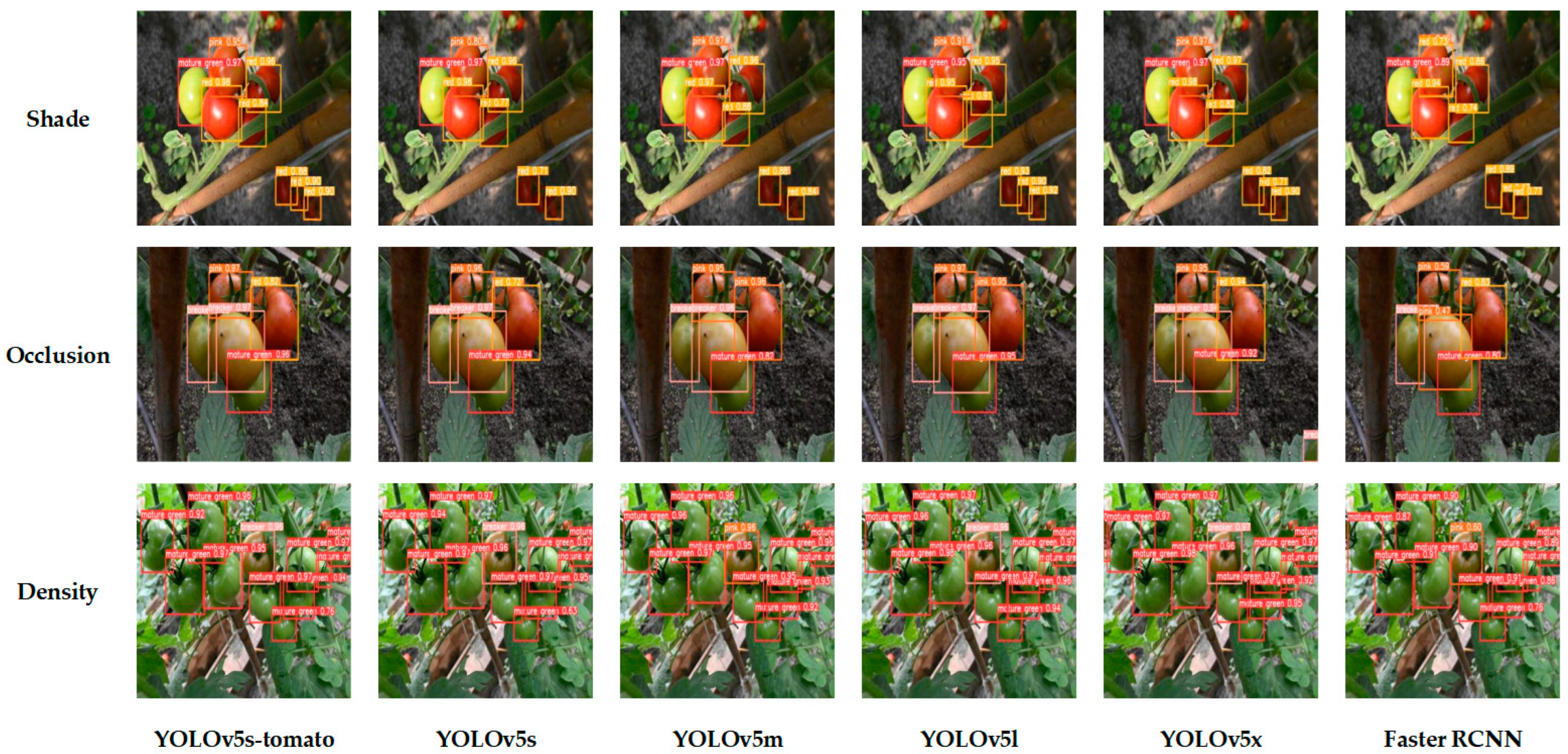 Agronomy 13 00603 g012