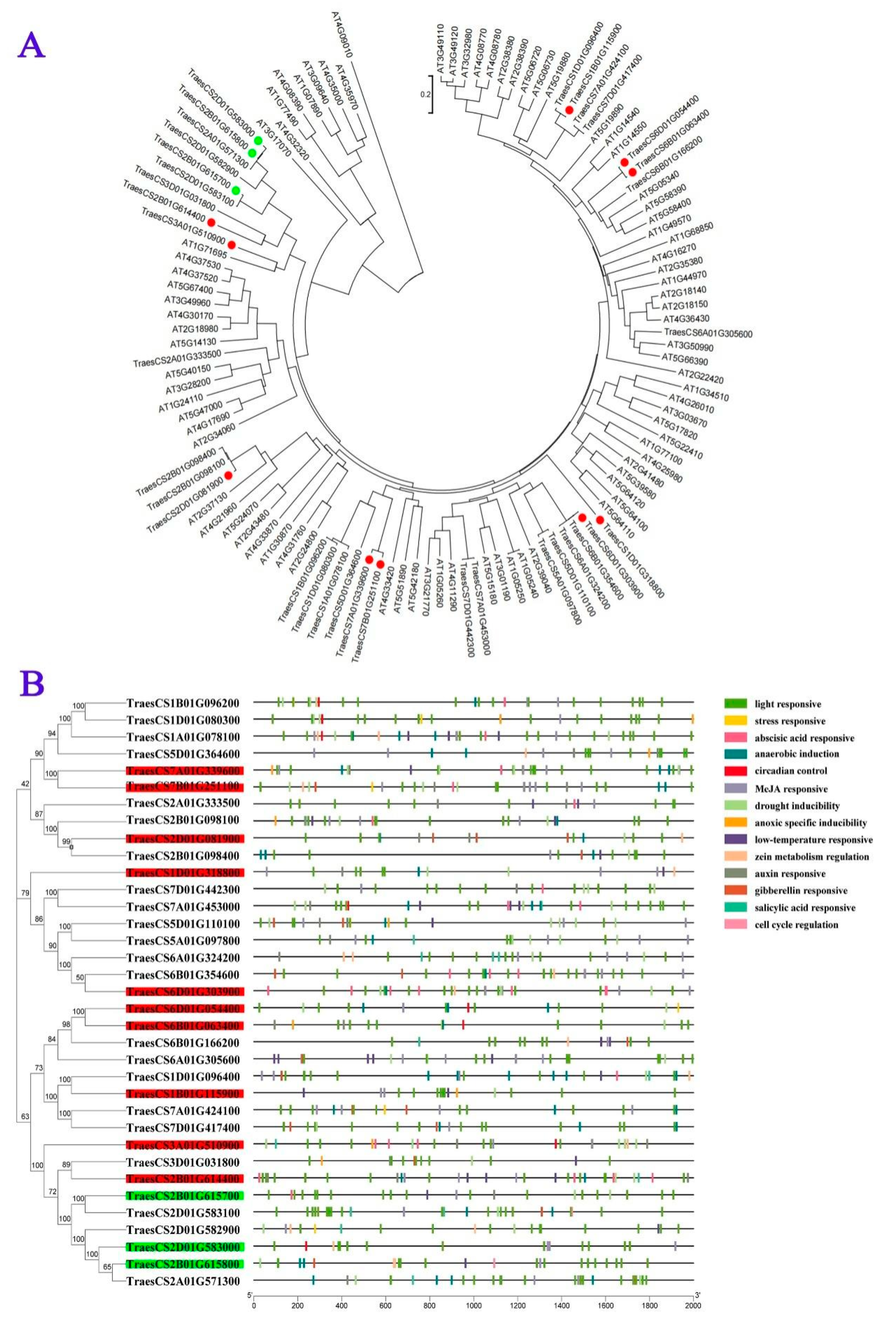 Agronomy 13 00605 g007