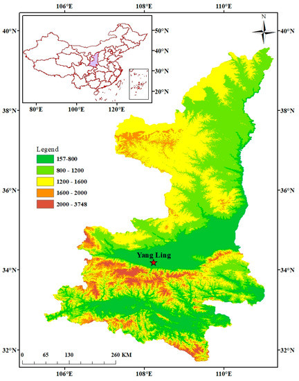 Effects of Nitrogen Supply on Dry Matter Accumulation, Water