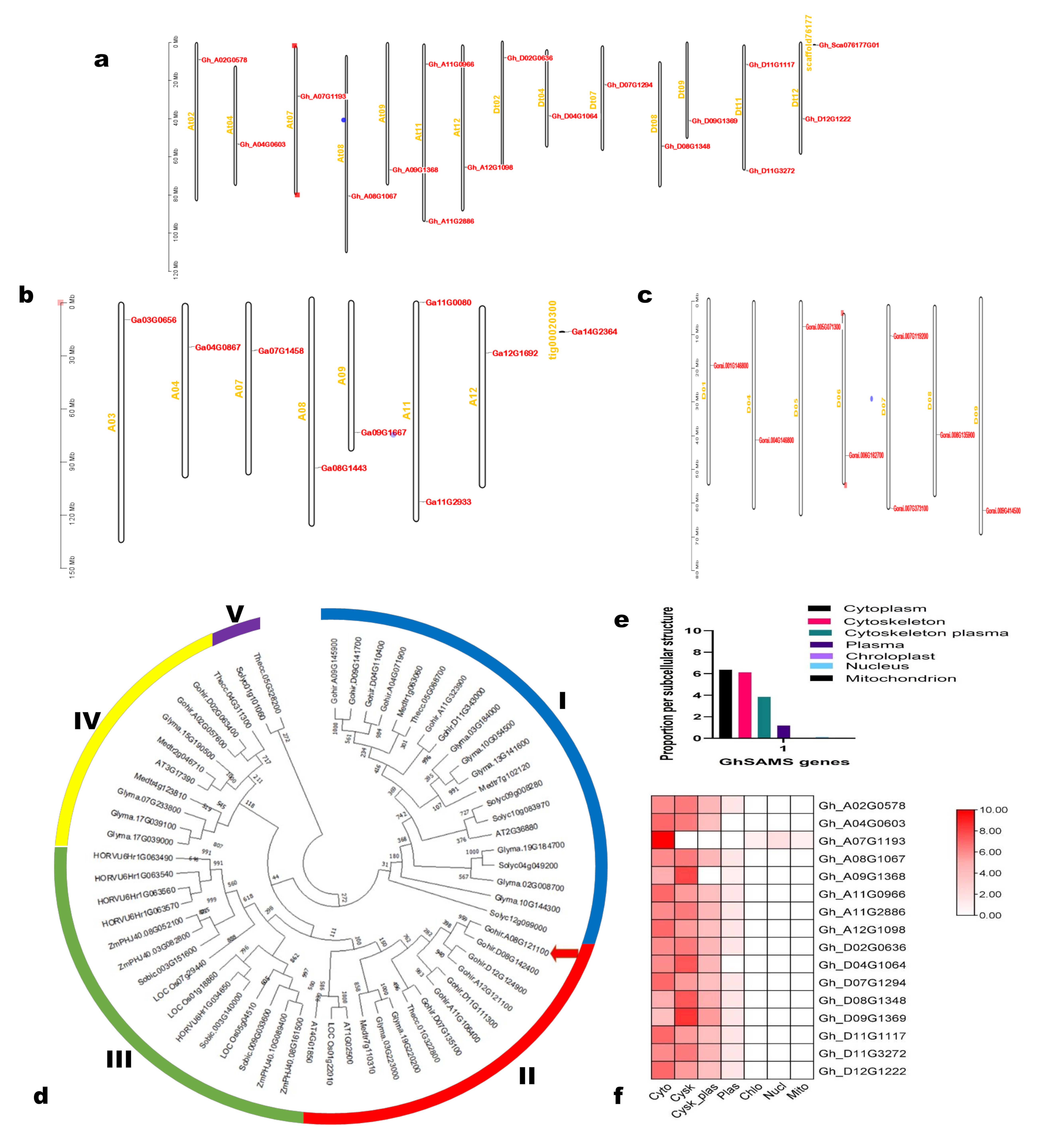 Agronomy 13 00612 g001 Agronomy 13 00612 g001