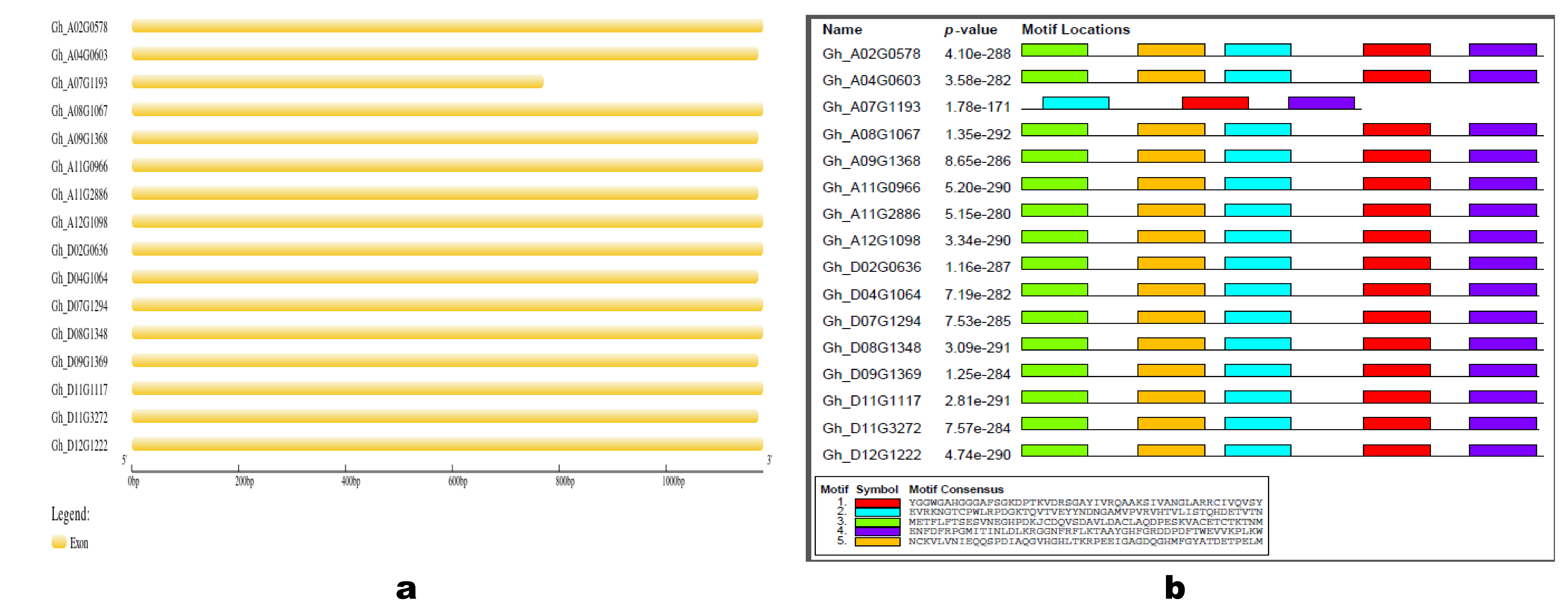 Agronomy 13 00612 g002 Agronomy 13 00612 g002