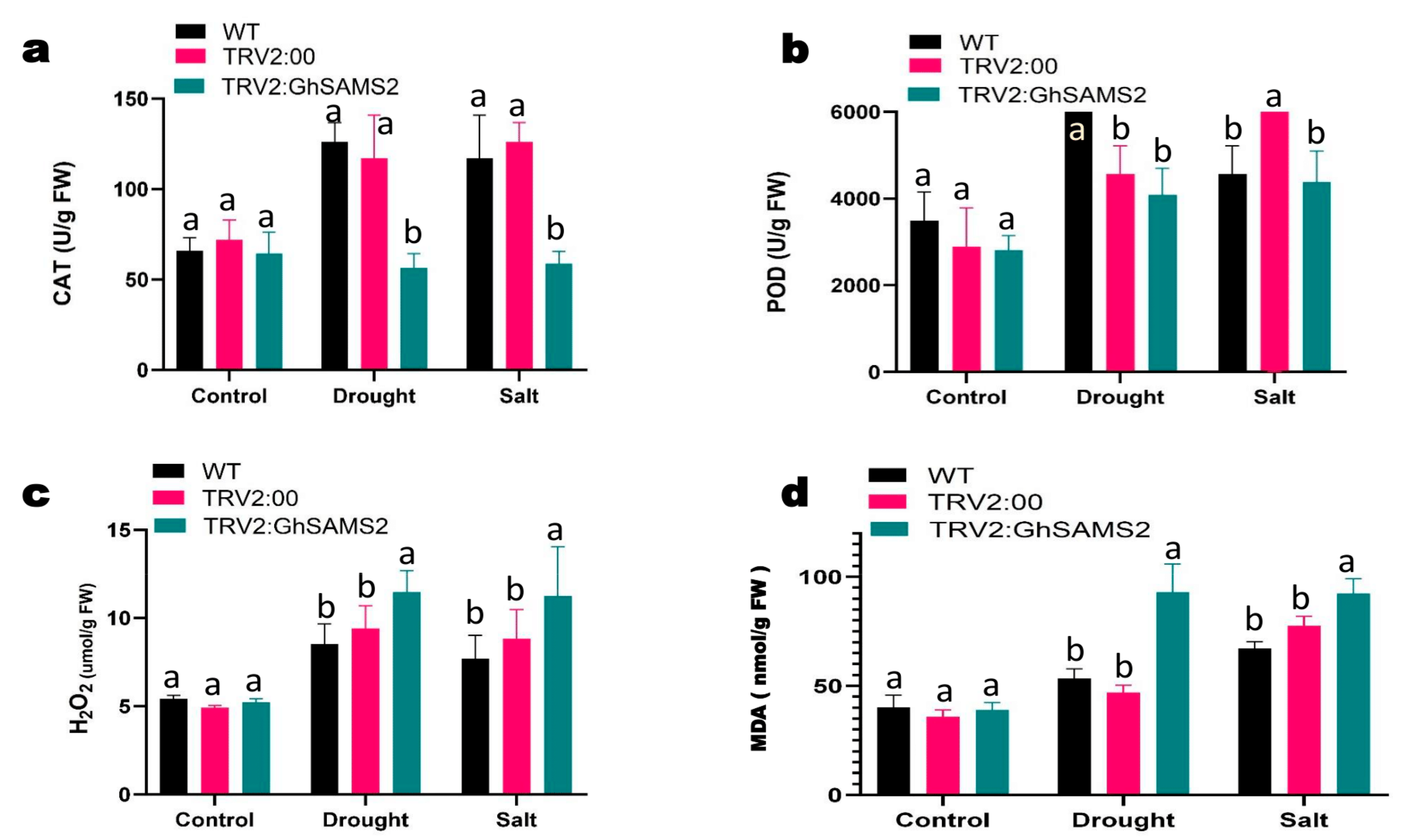Agronomy 13 00612 g005 Agronomy 13 00612 g005