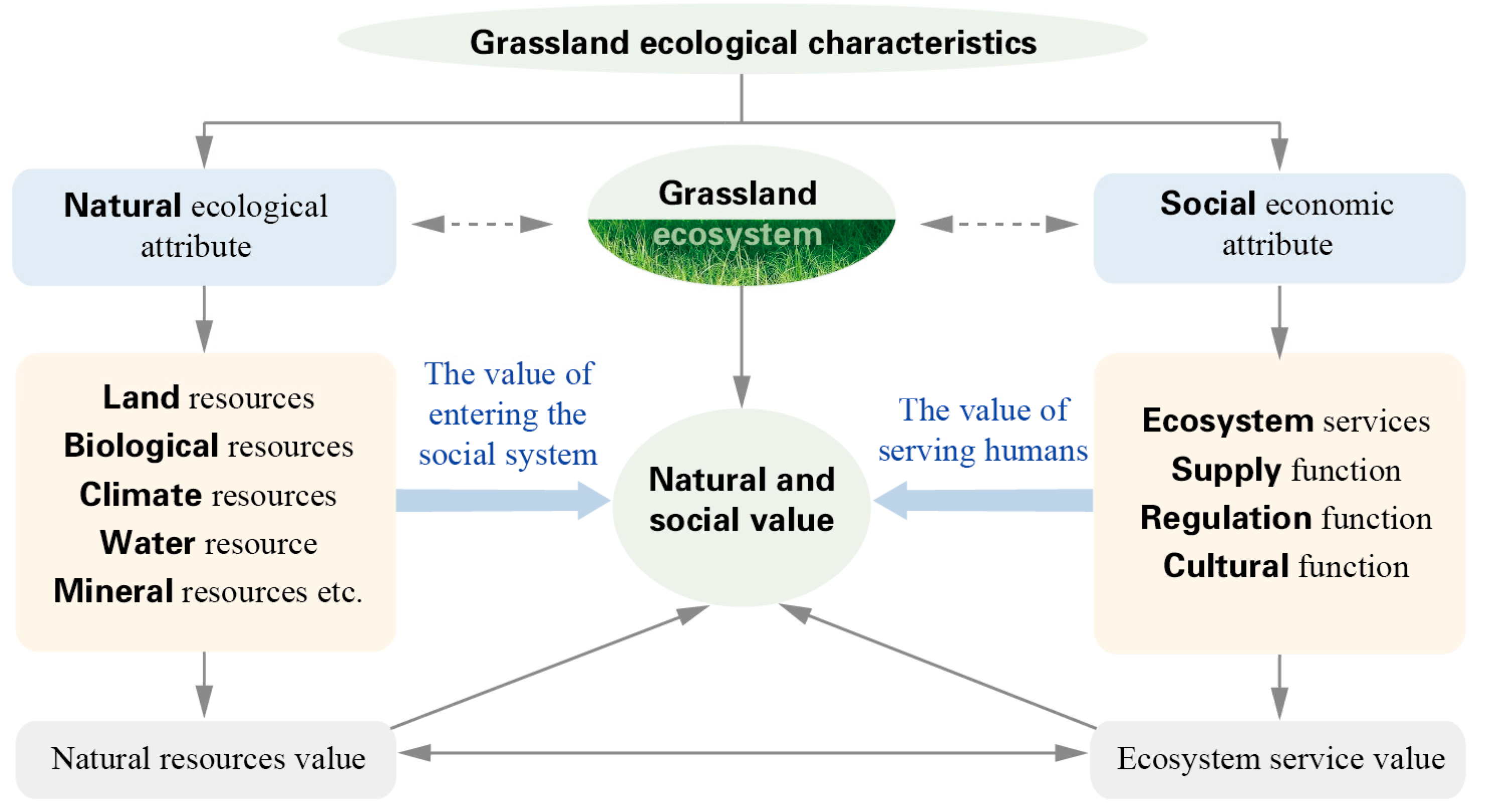 Agronomy 13 00614 g009 Agronomy 13 00614 g009