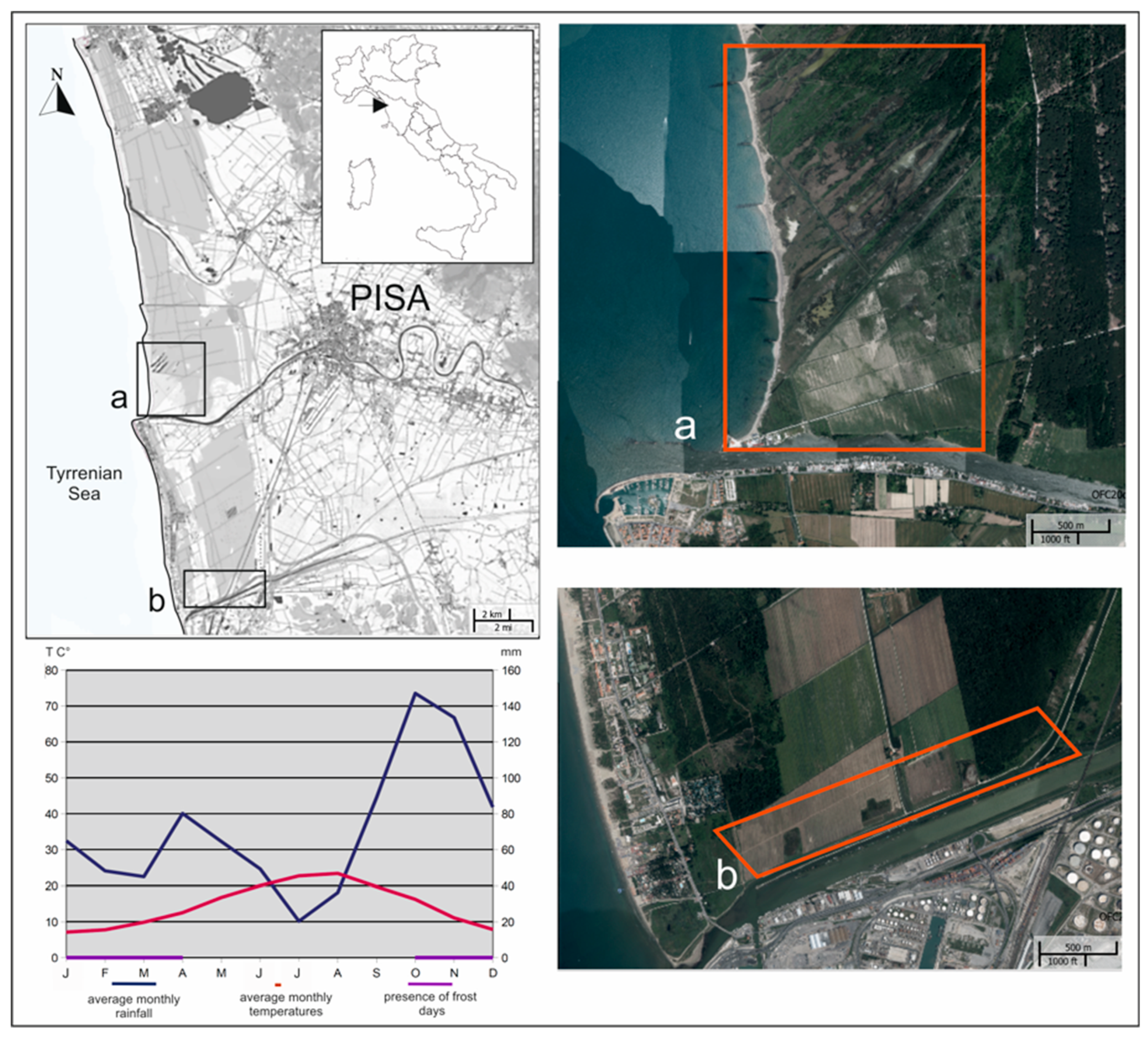 Agronomy 13 00615 g001