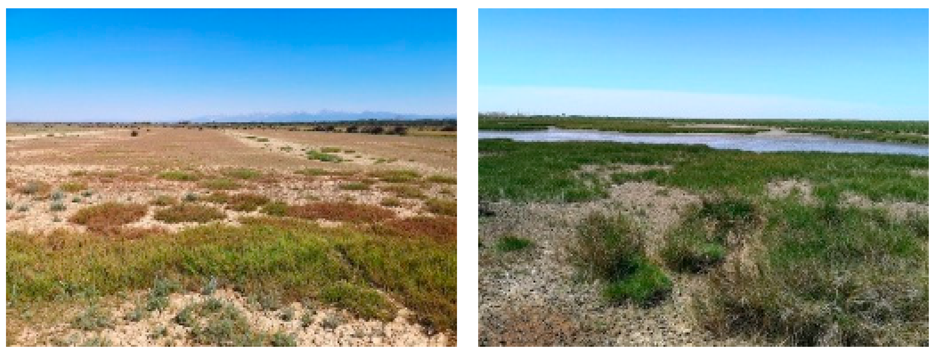 Agronomy 13 00615 g002