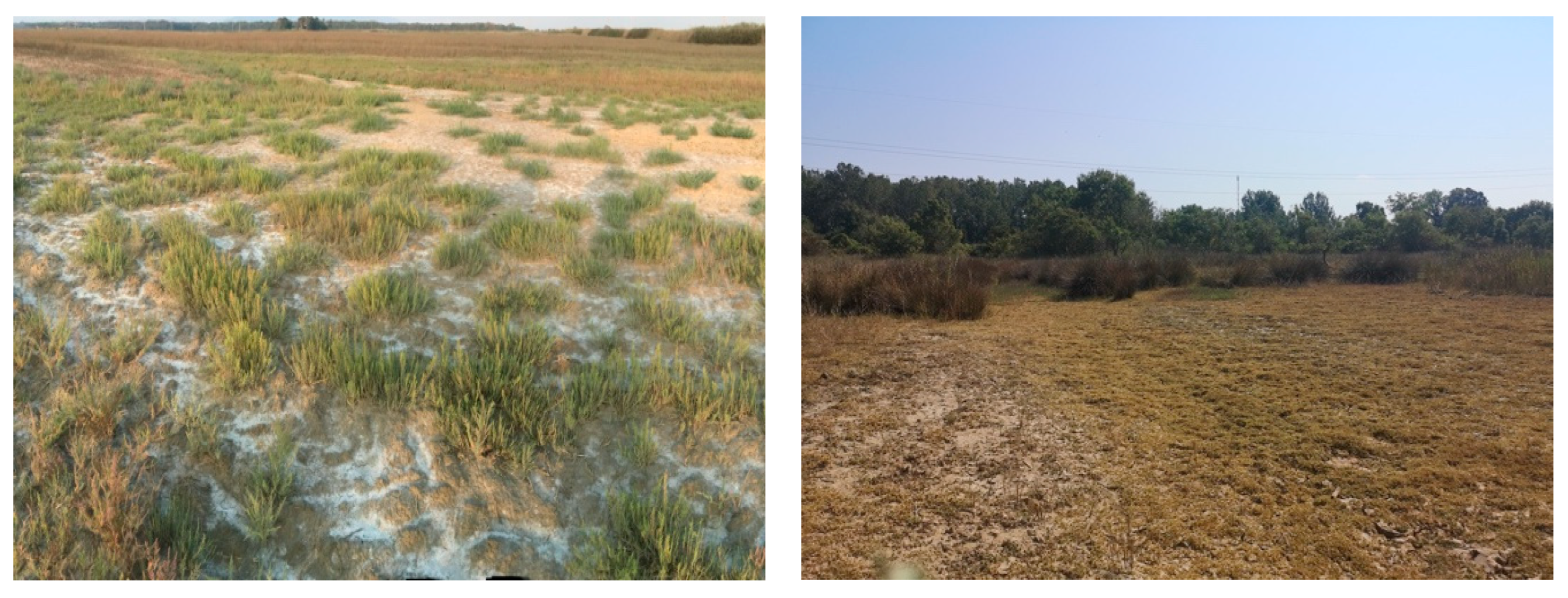 Agronomy 13 00615 g003