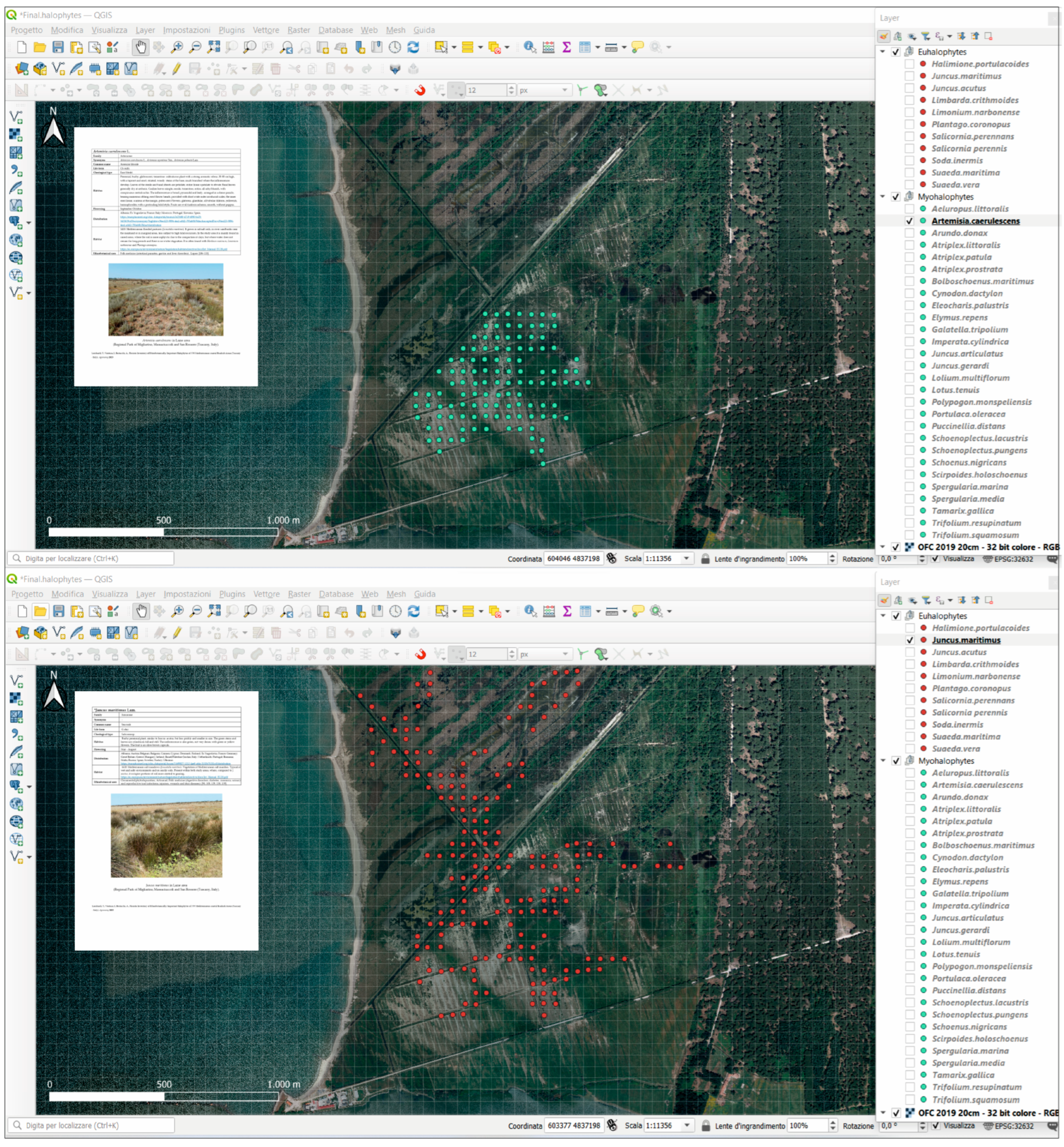 Agronomy 13 00615 g004