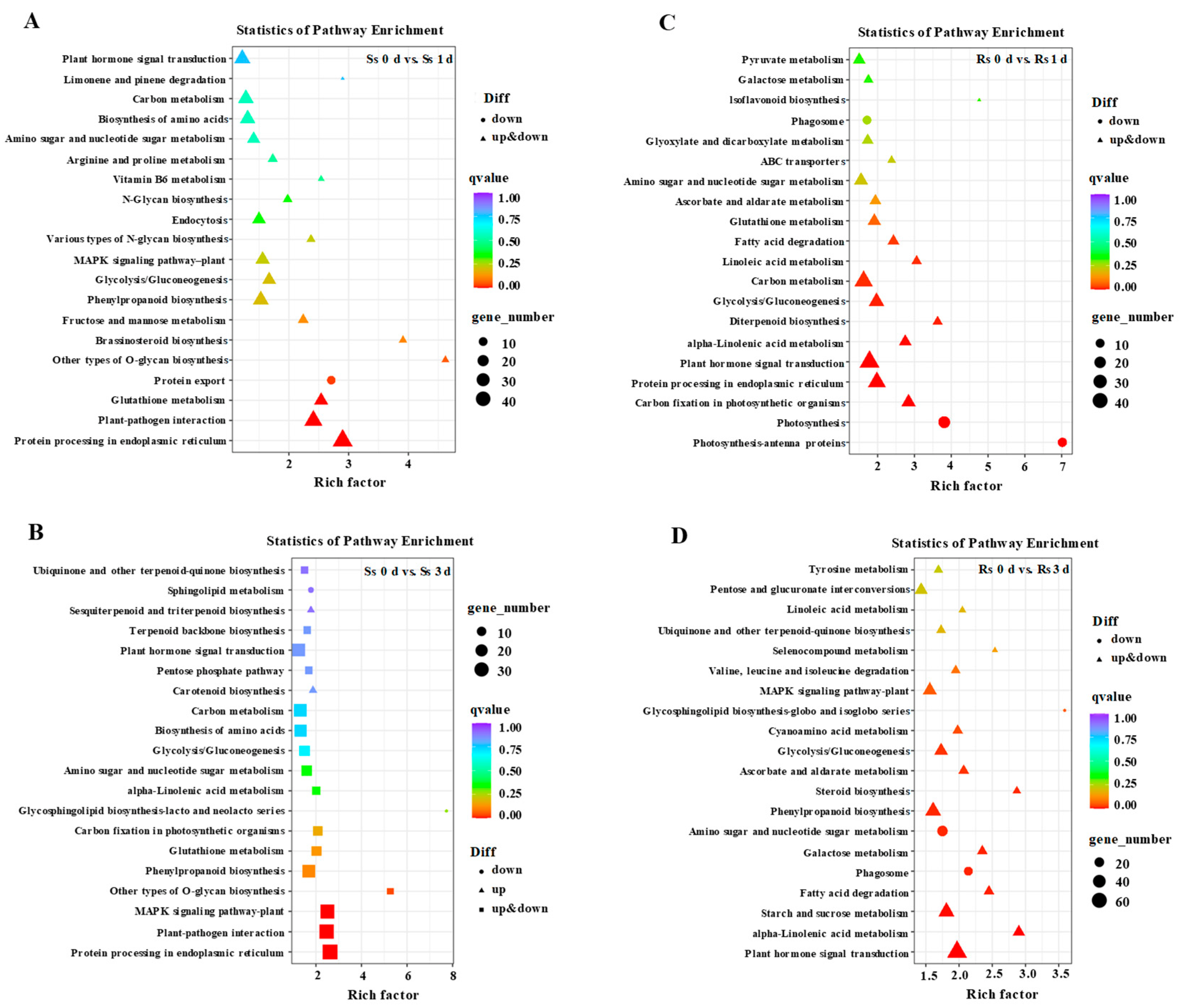 Agronomy 13 00618 g003 Agronomy 13 00618 g003