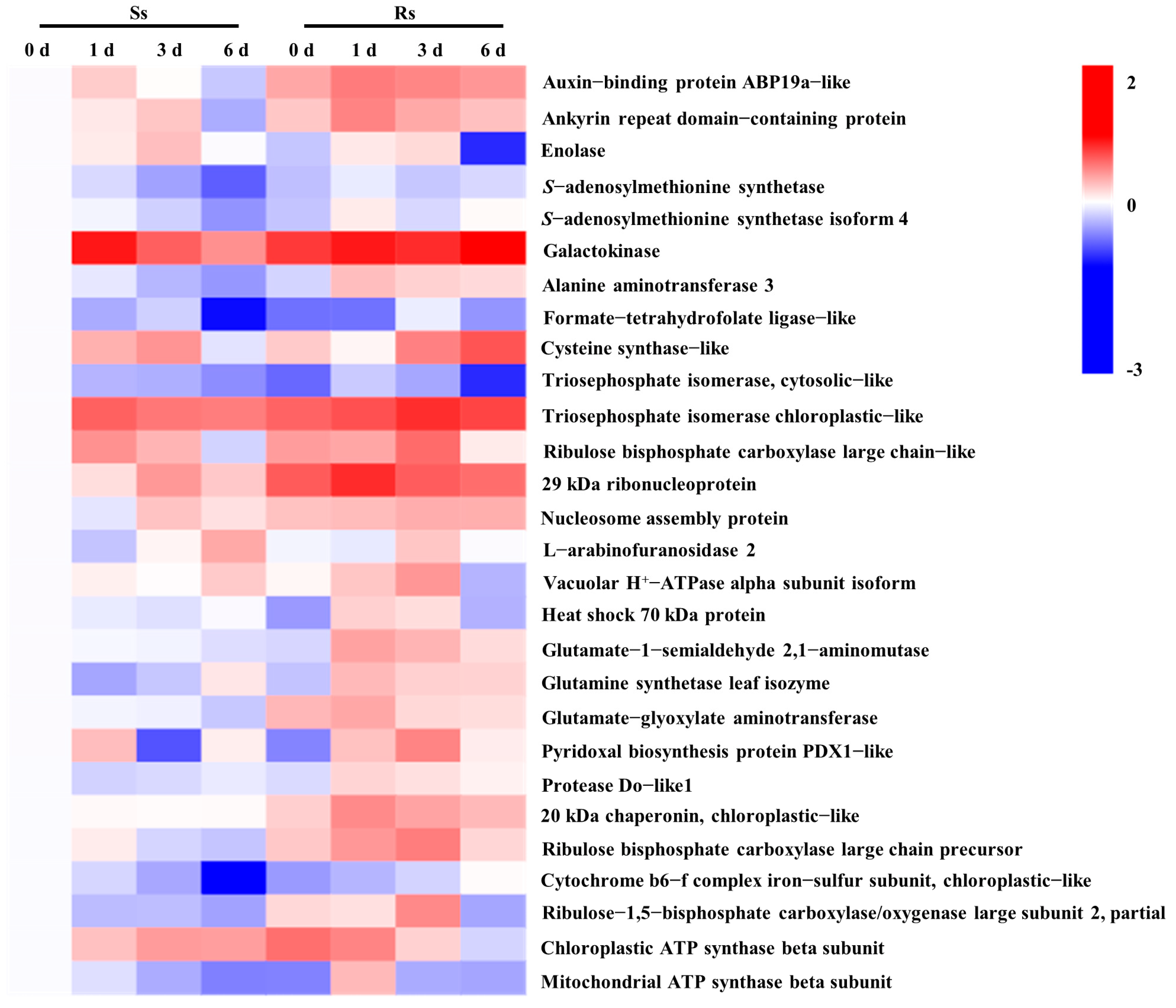 Agronomy 13 00618 g006 Agronomy 13 00618 g006