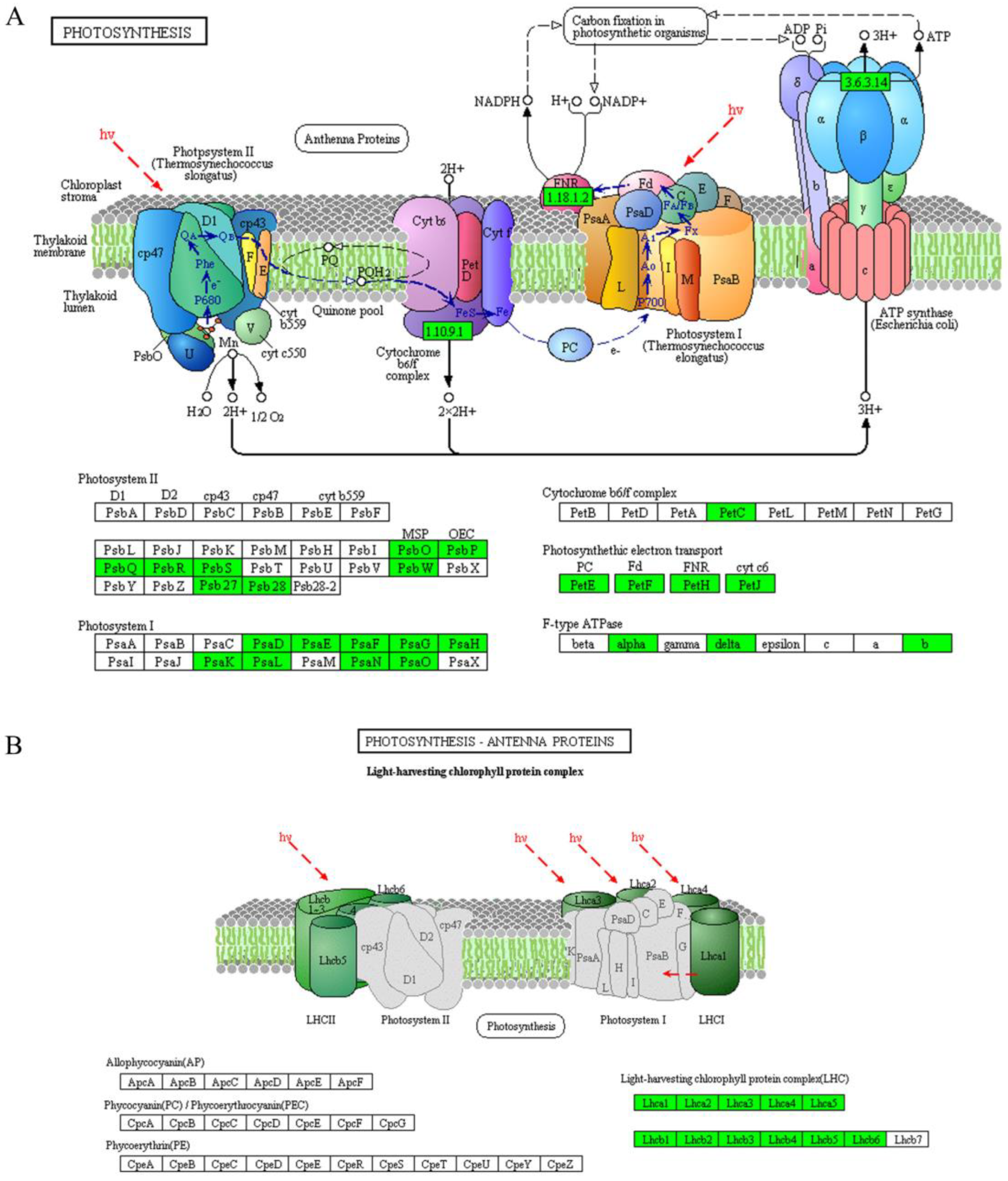 Agronomy 13 00623 g005