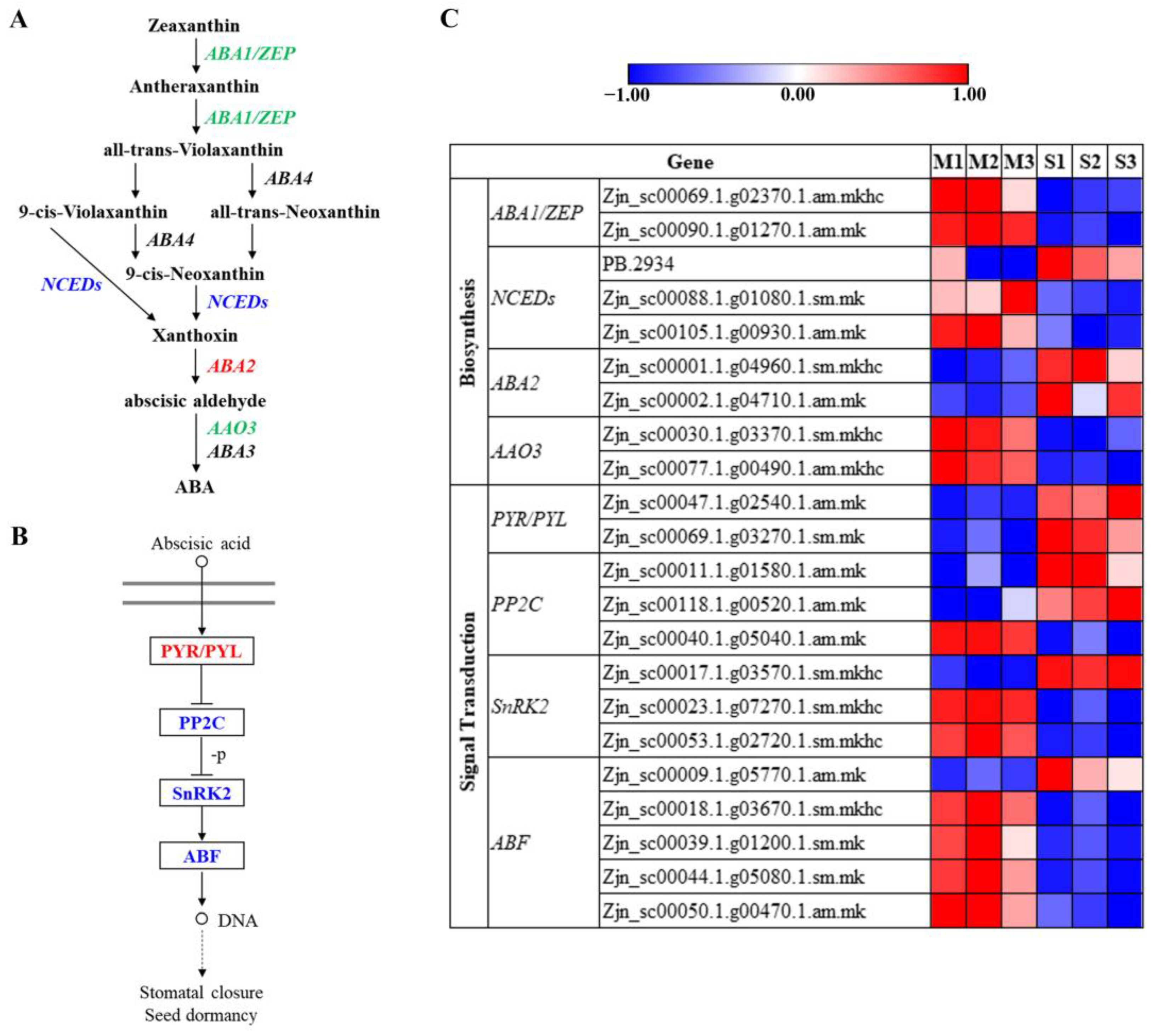 Agronomy 13 00623 g007
