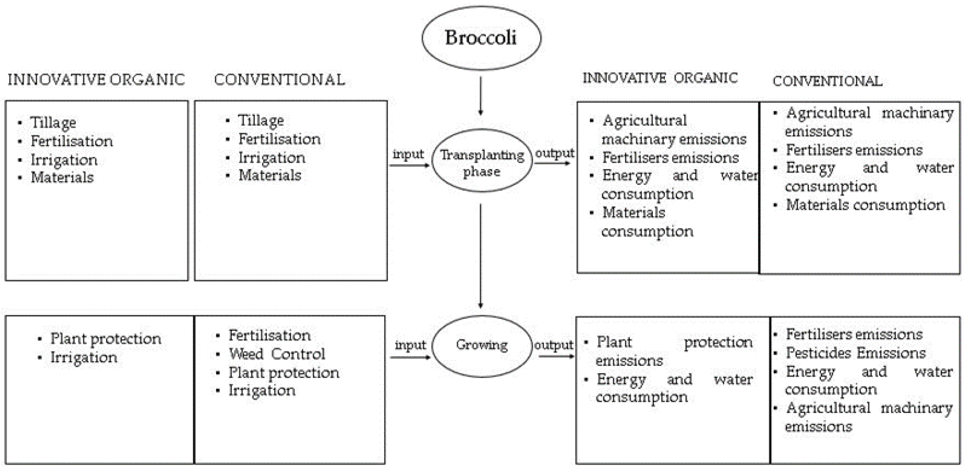 Agronomy 13 00624 g001