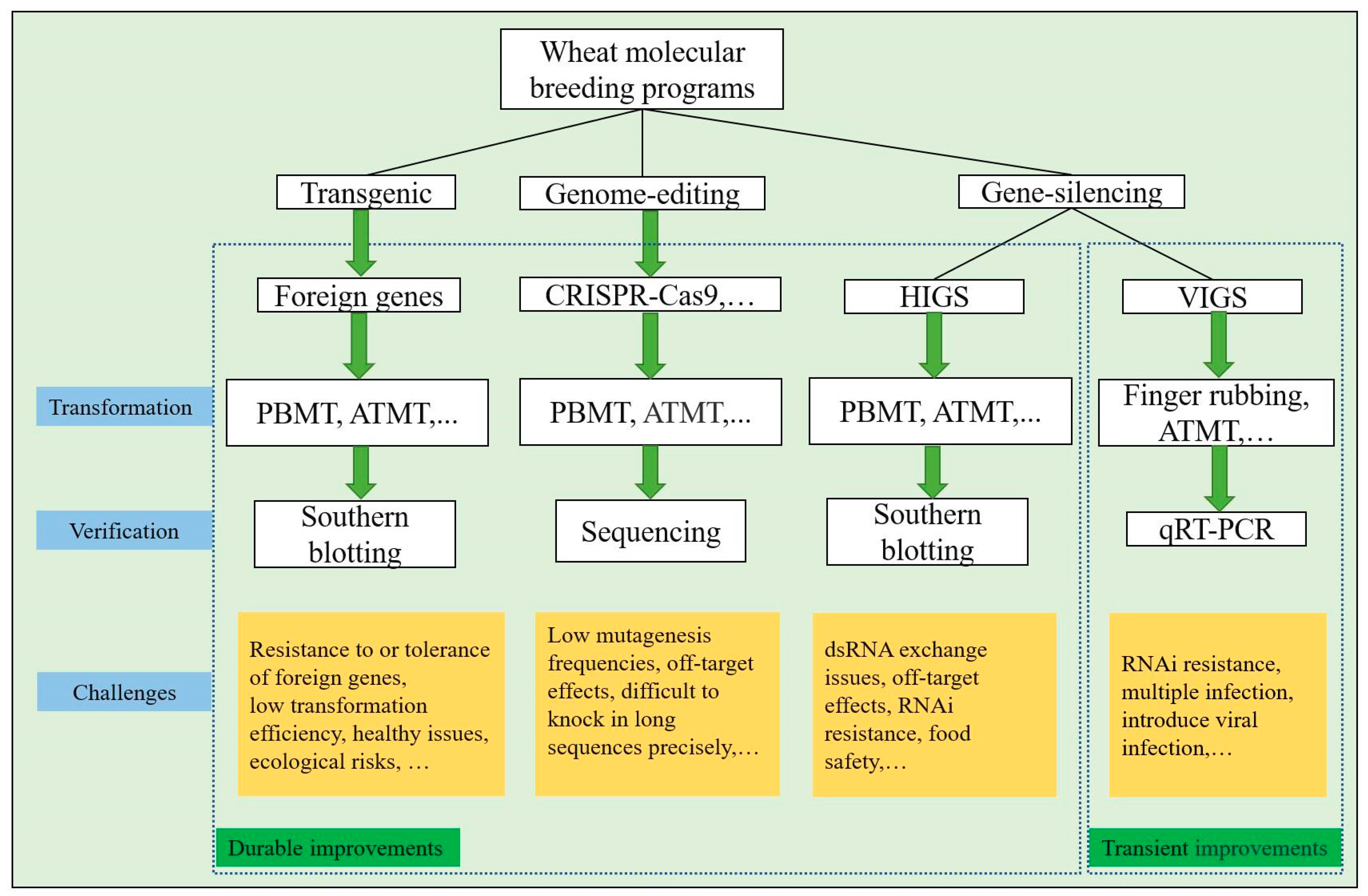 Agronomy 13 00628 g002 Agronomy 13 00628 g002