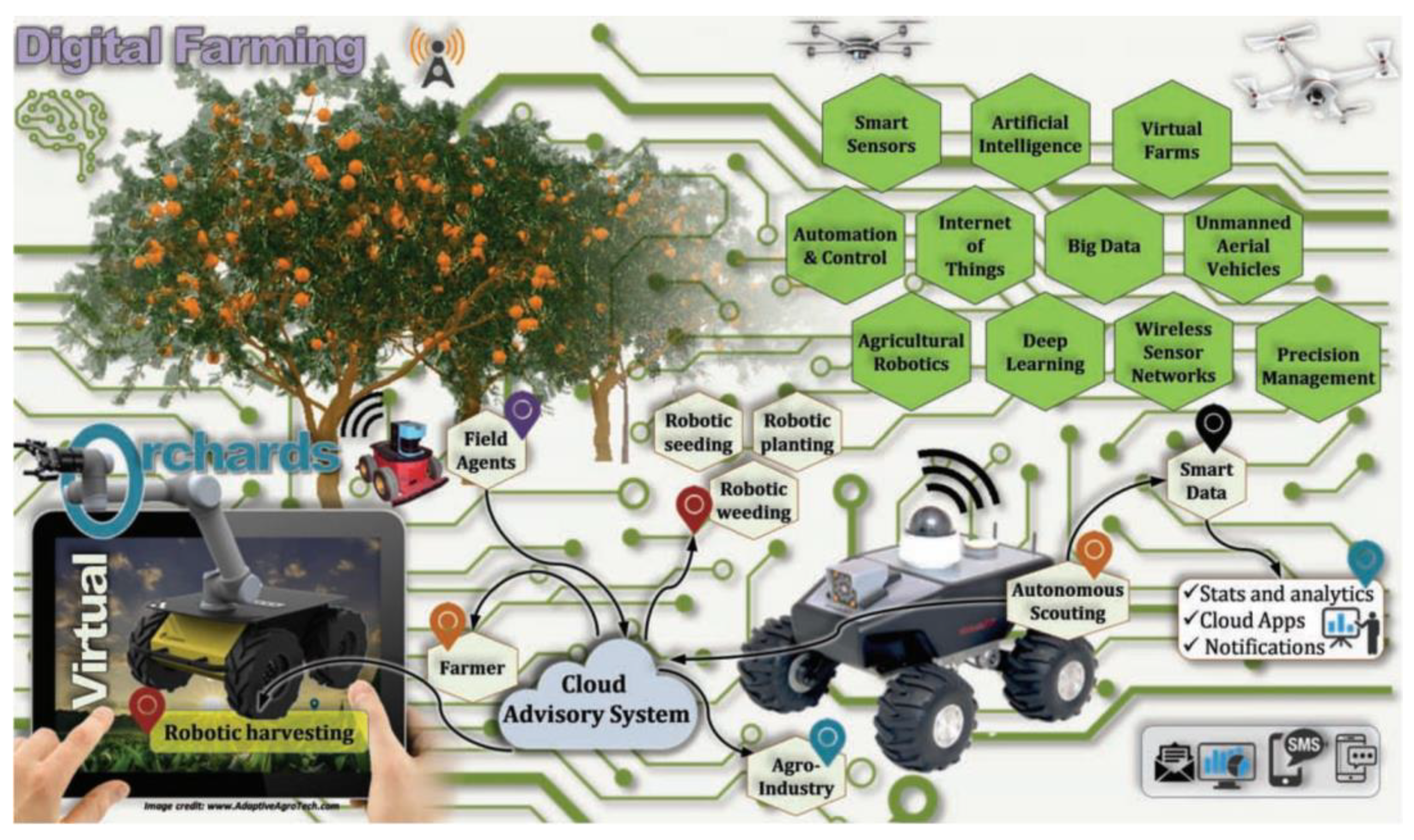 Agronomy 13 00639 g001