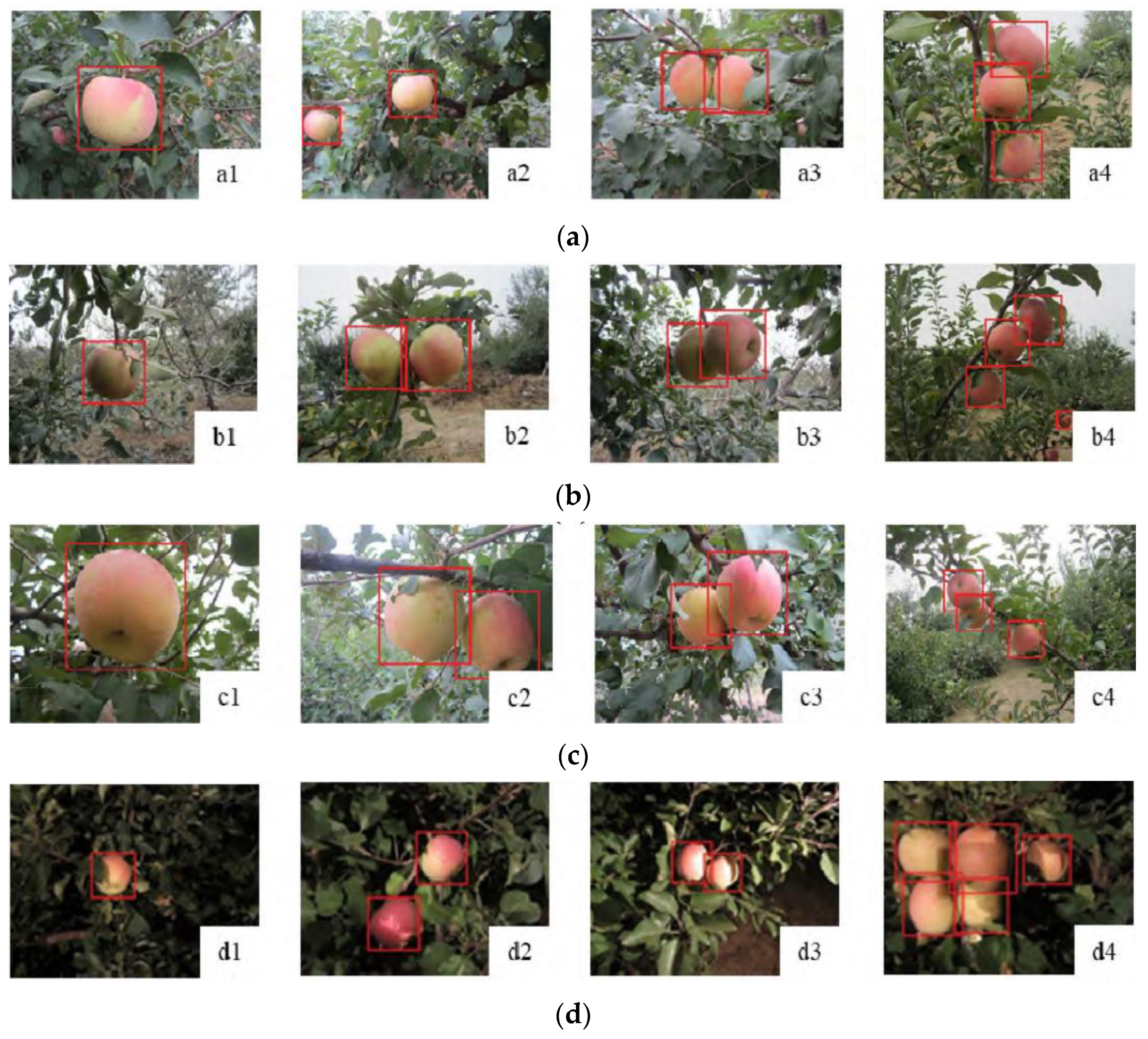 Agronomy 13 00639 g008