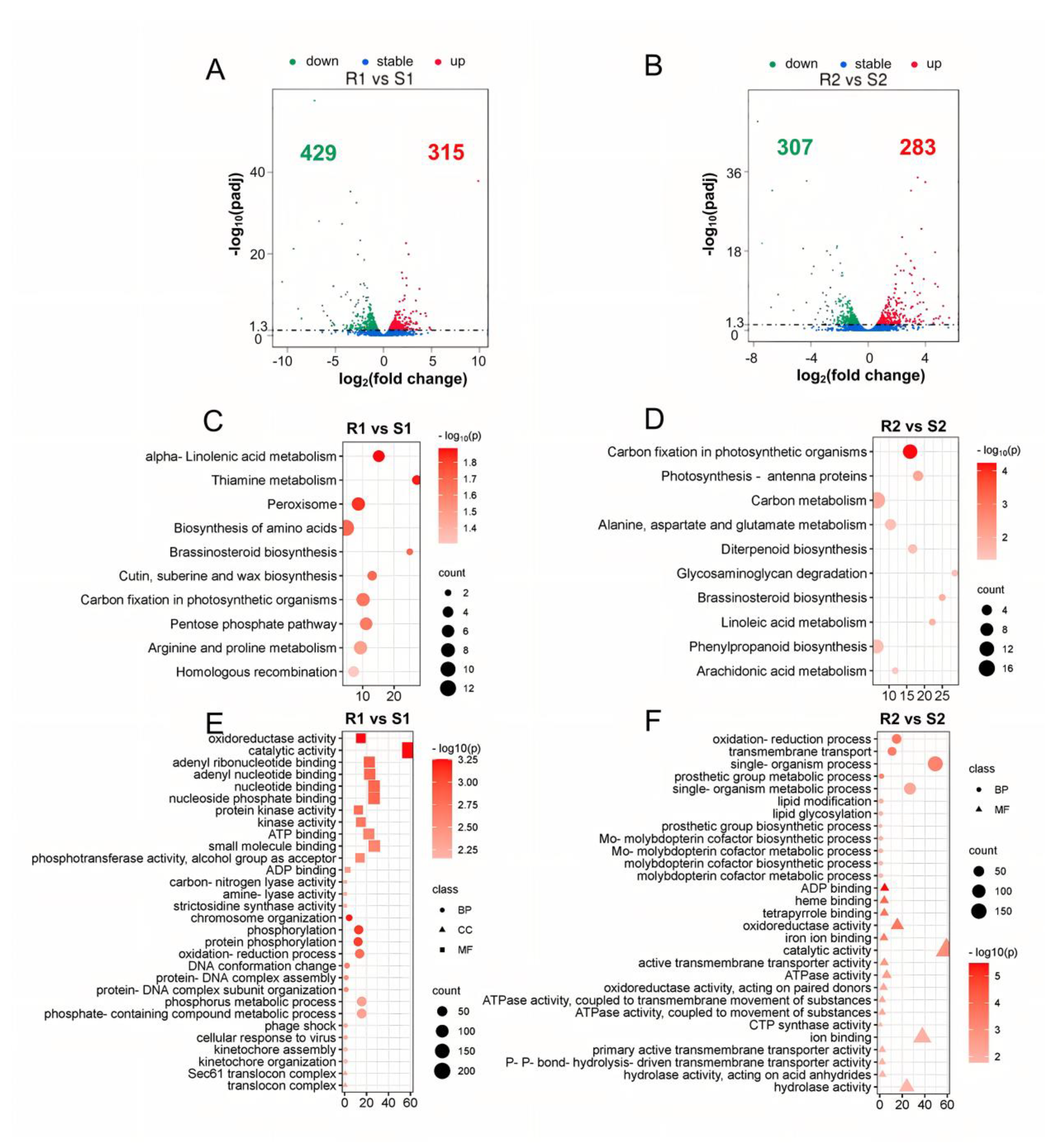 Agronomy 13 00644 g001 Agronomy 13 00644 g001