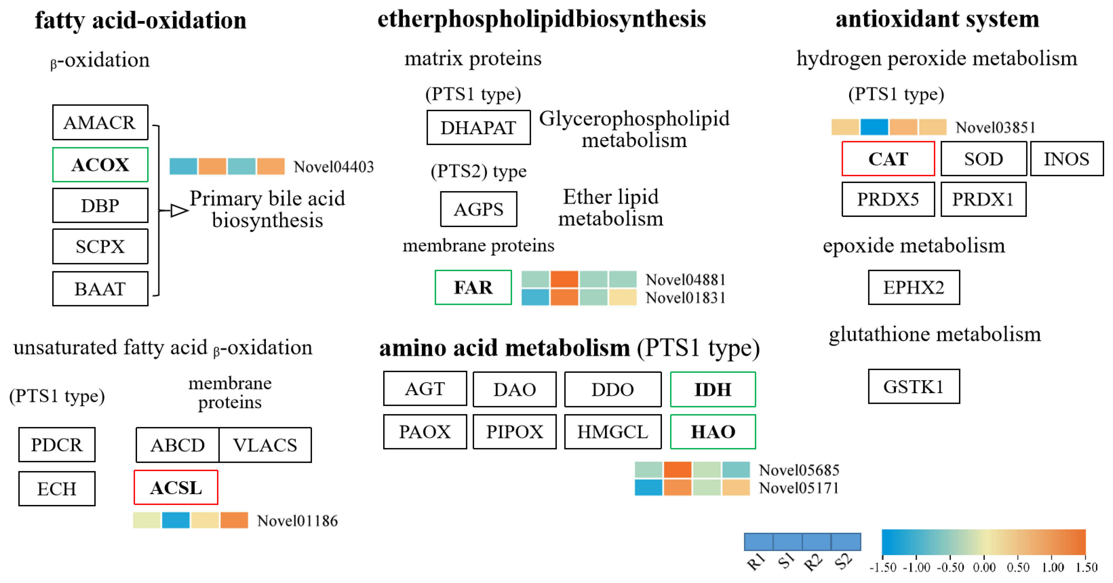Agronomy 13 00644 g002 Agronomy 13 00644 g002